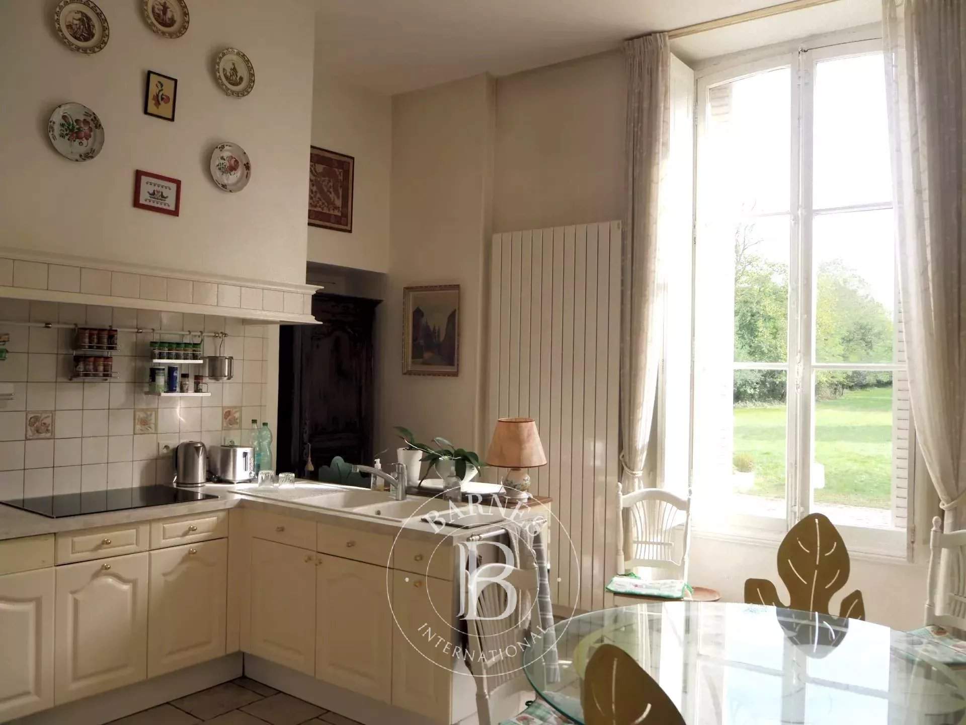 Orléans  - Château 17 Pi&egrave;ces 14 Chambres - picture 10