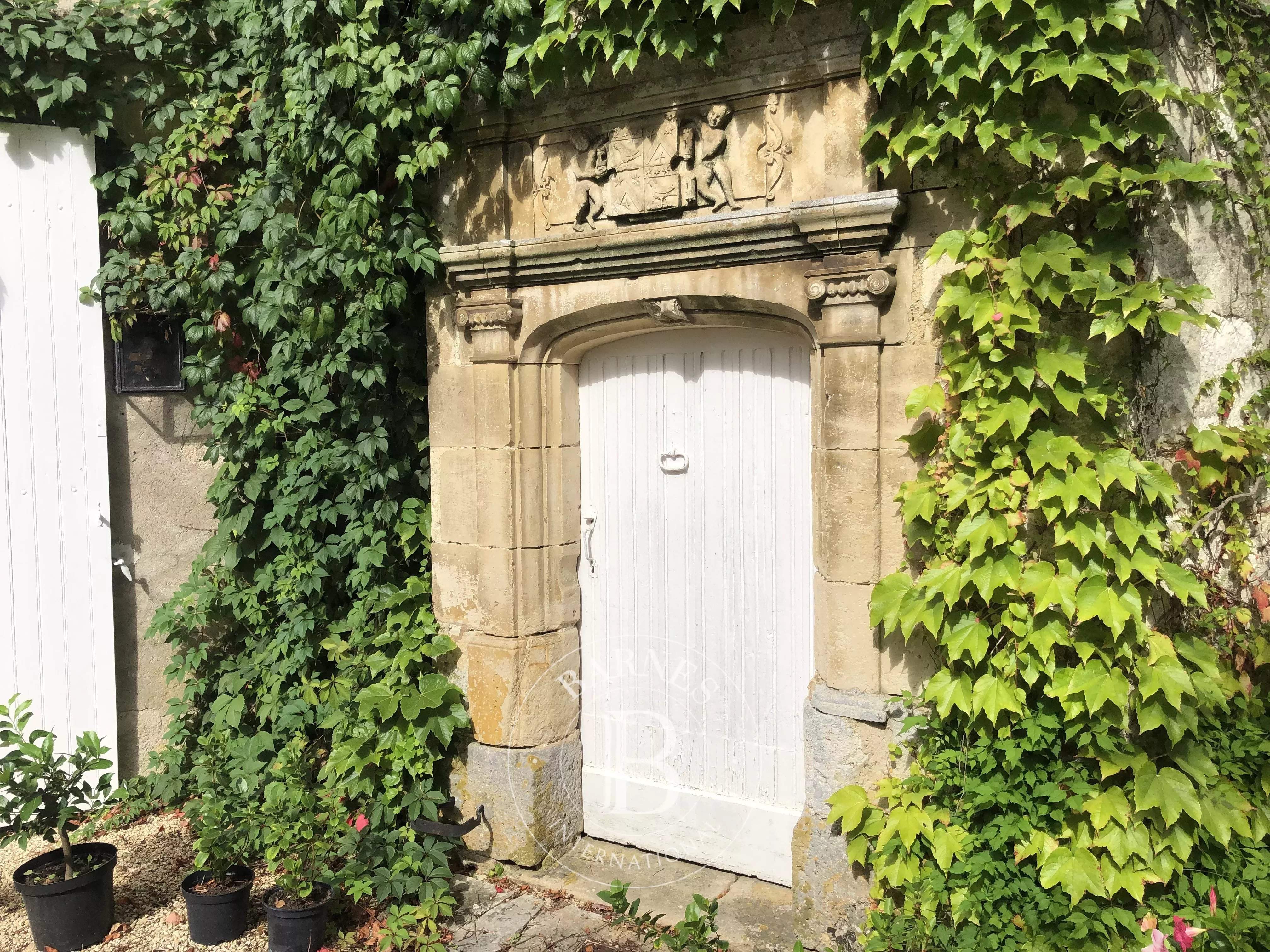 Bourges  - Manoir 10 Pi&egrave;ces - picture 4