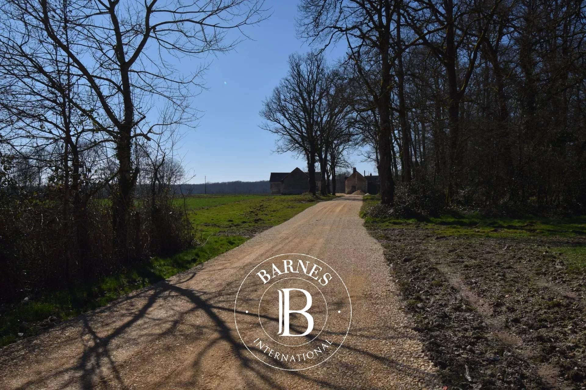 Neuvy-sur-Barangeon  - Property 1 Bedroom - picture 7