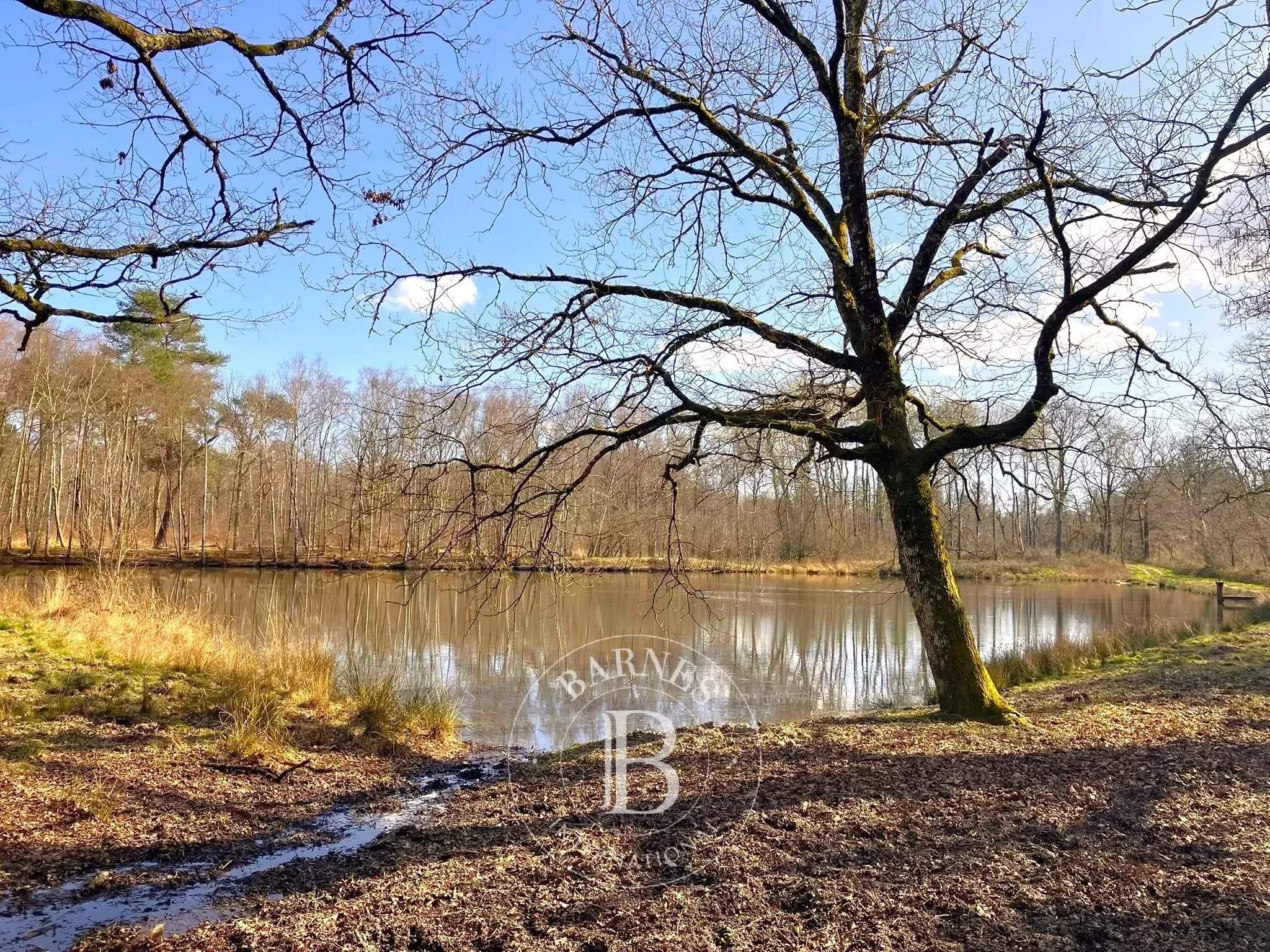 Lamotte-Beuvron  - Propriété 12 Pi&egrave;ces - picture 2