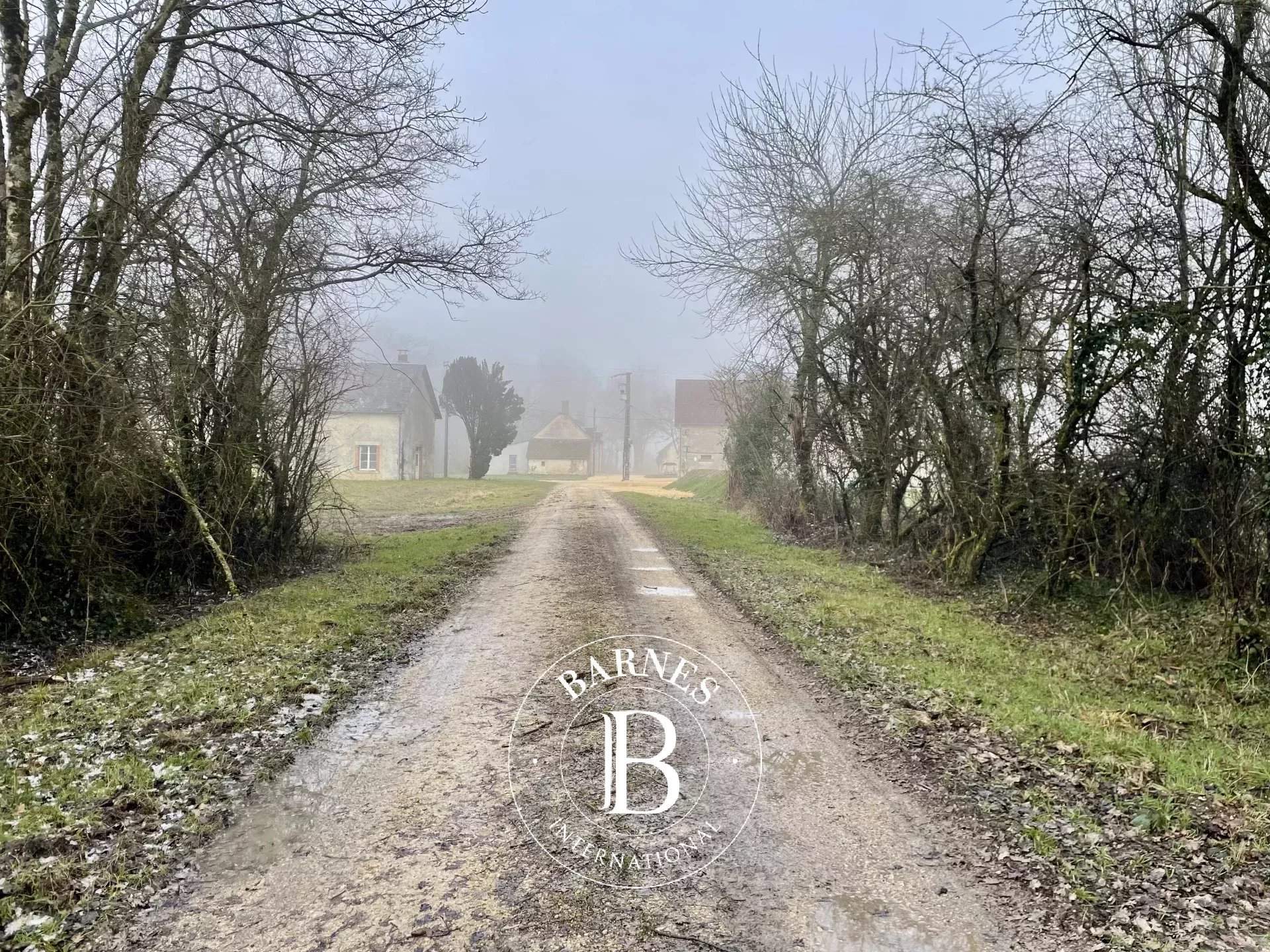 Neuvy-sur-Barangeon  - Property 1 Bedroom - picture 9