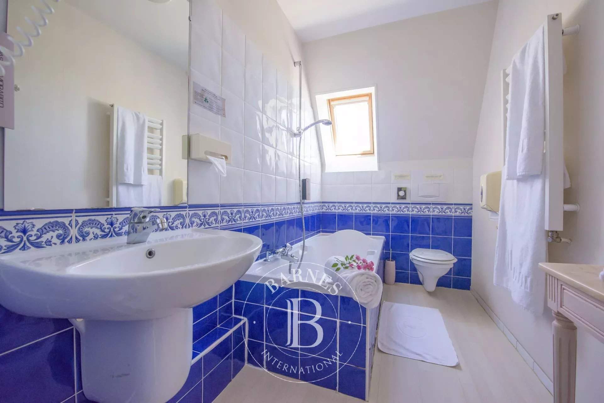 Ygrande  - Domaine équestre  - picture 10