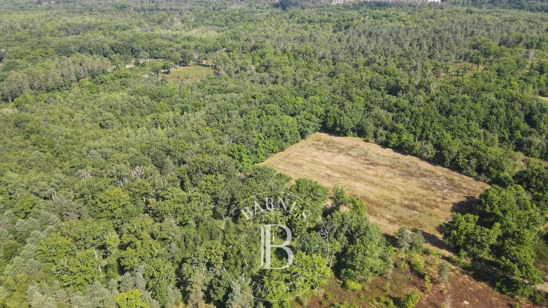 Nançay  - Property 3 Bedrooms - picture 13