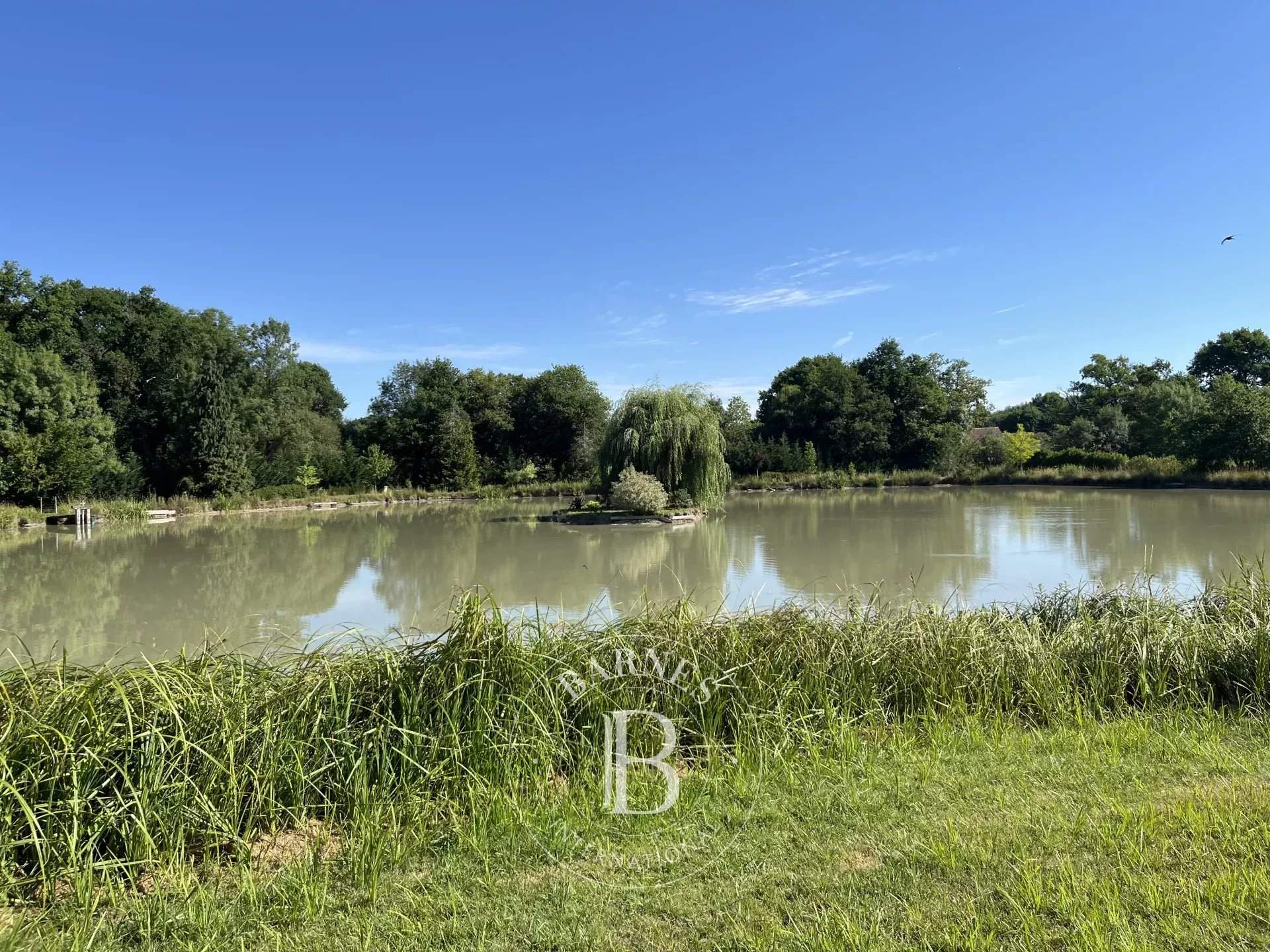 Vernou-en-Sologne  - Maison 14 Pièces 5 Chambres - picture 12