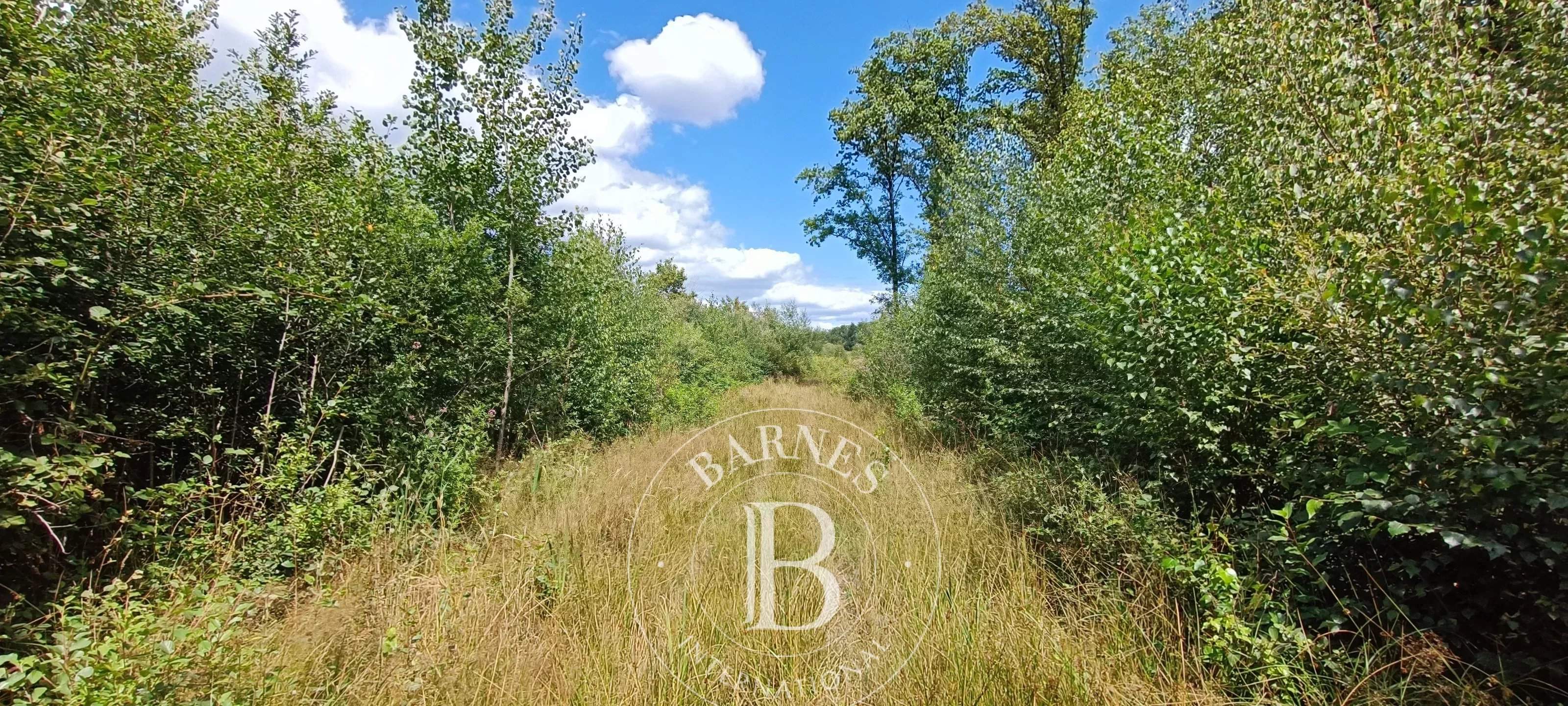 Lamotte-Beuvron  - Domaine de chasse 7 Pi&egrave;ces 4 Chambres - picture 11