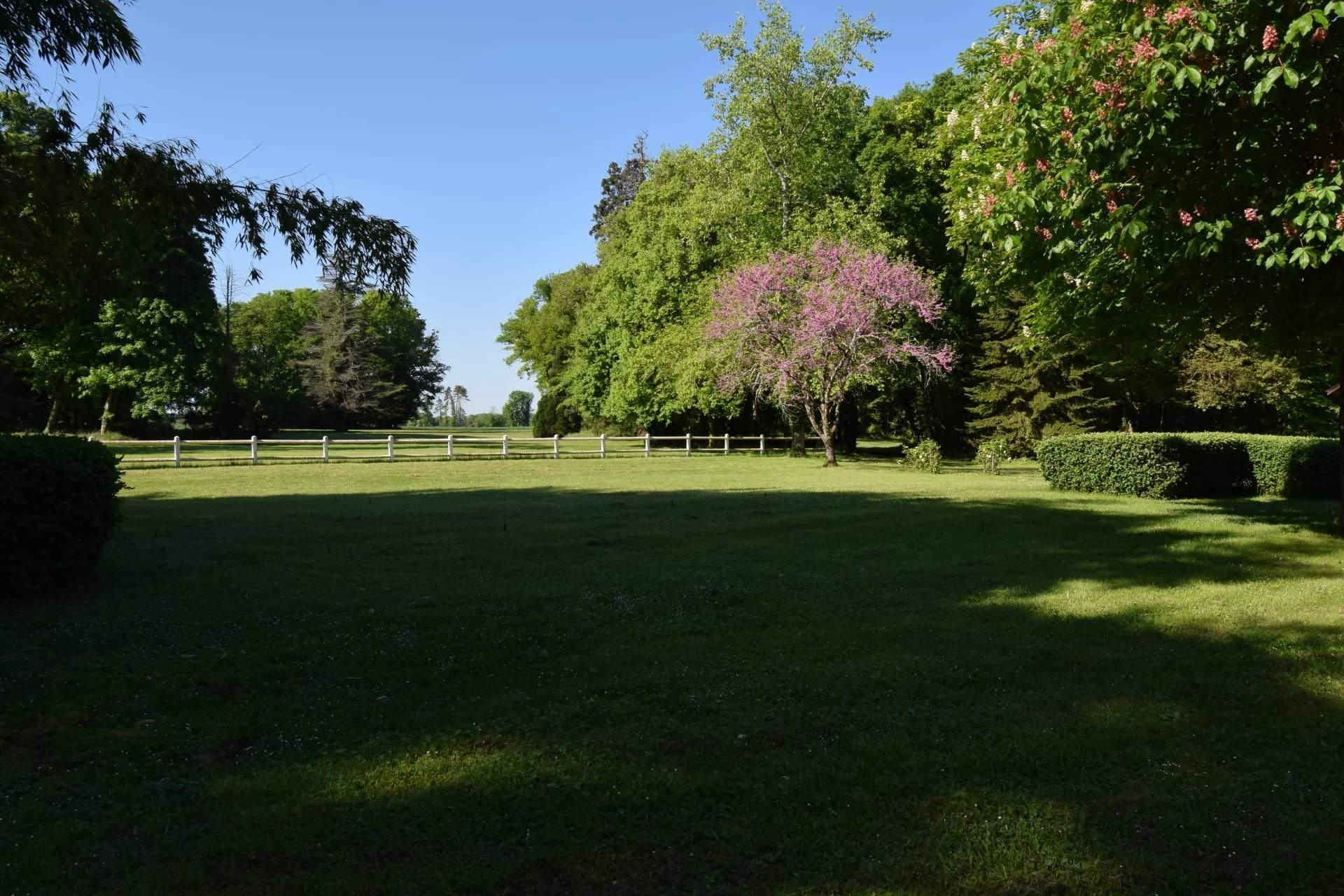 Bourges  - Propriété 11 Pi&egrave;ces 7 Chambres - picture 13