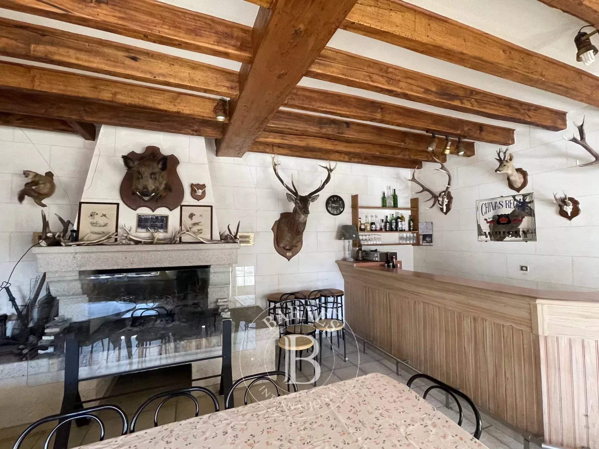 Tours  - Propriété 12 Pi&egrave;ces 5 Chambres - picture 13