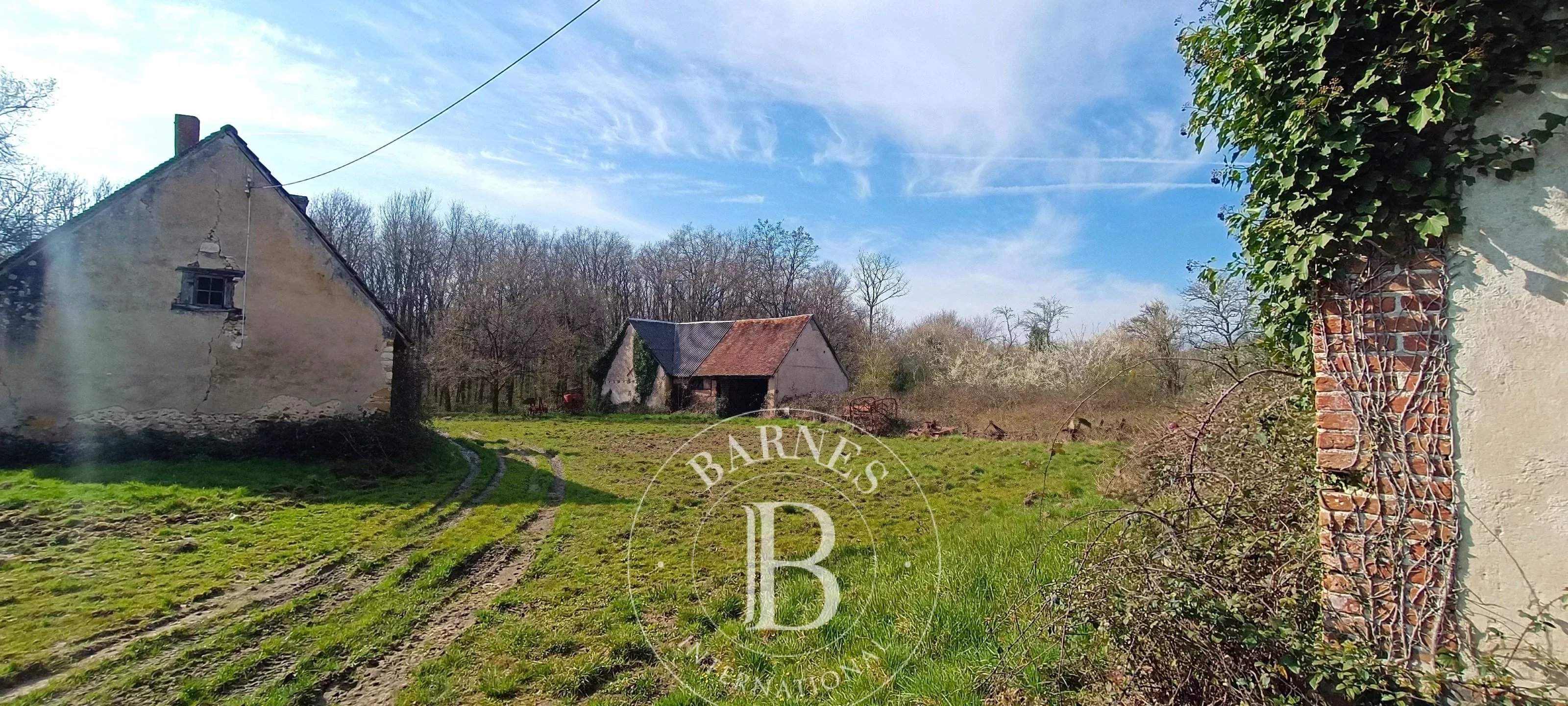 Salbris  - Domaine de chasse 10 Pi&egrave;ces 4 Chambres - picture 9