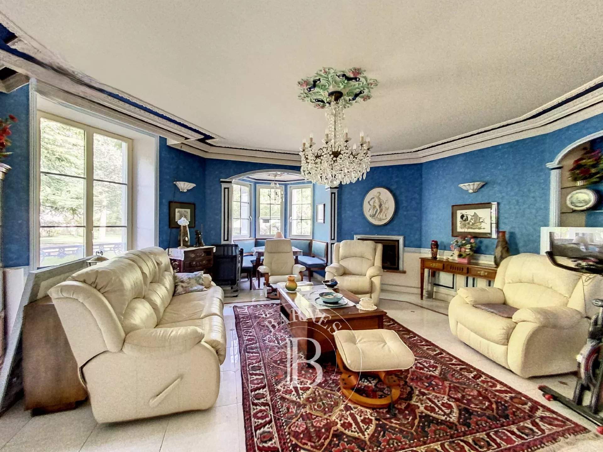 Le Blanc  - Manor house 7 Bedrooms - picture 5