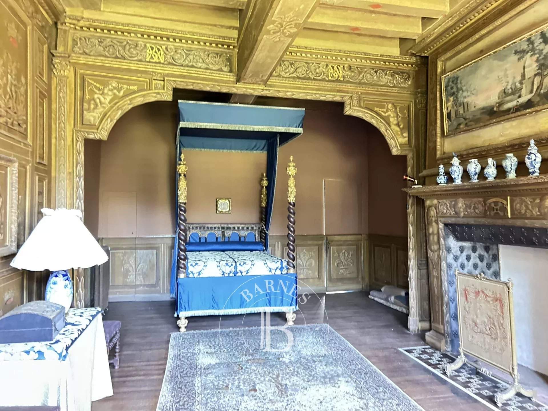 Chazé-sur-Argos  - Castle 15 Bedrooms - picture 10