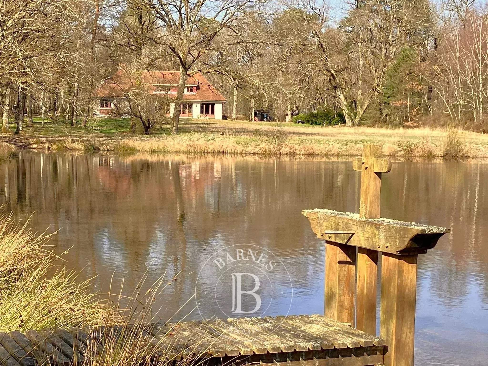 Lamotte-Beuvron  - Propriété 12 Pi&egrave;ces - picture 1