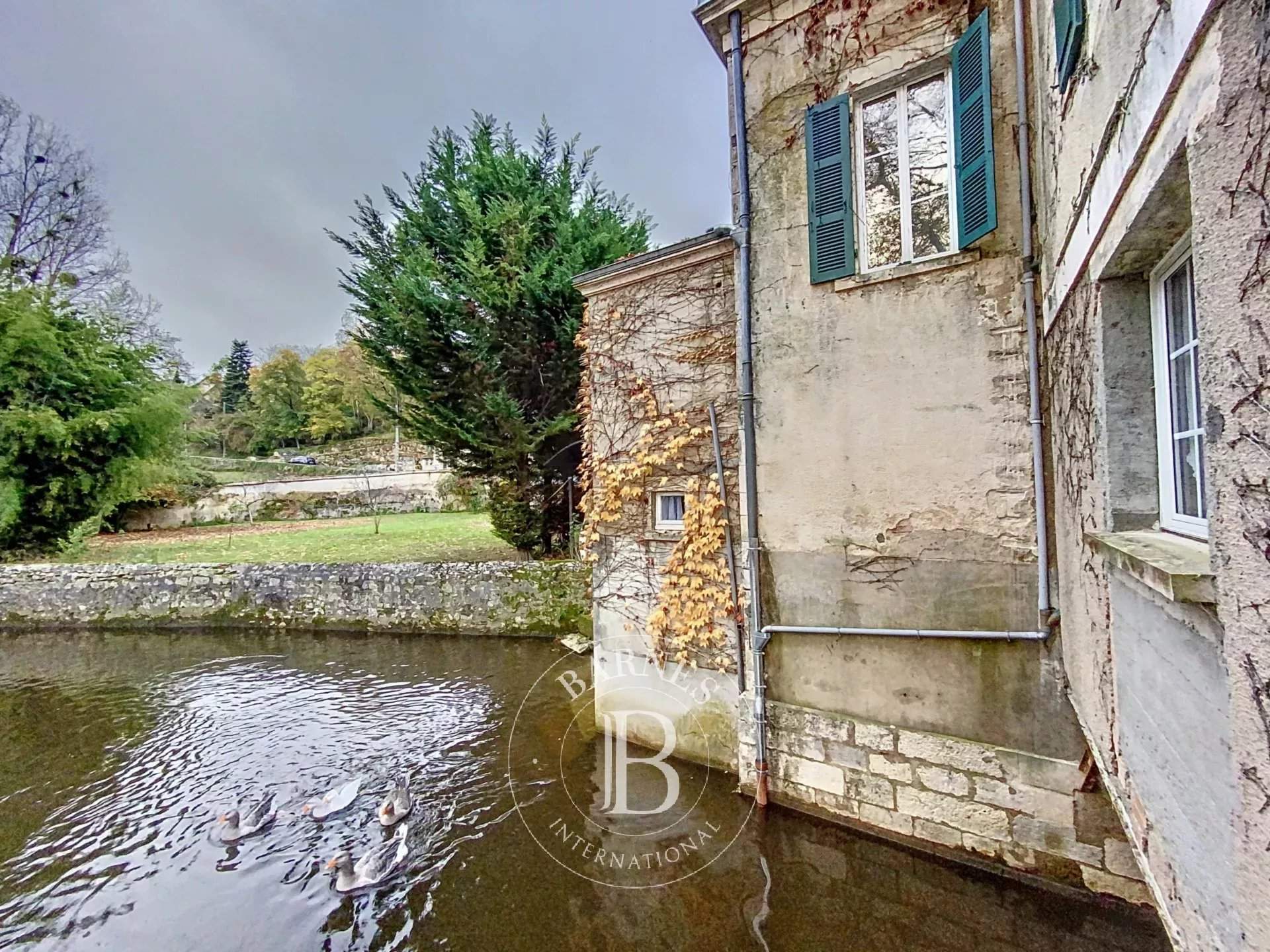 Le Blanc  - Manor house 7 Bedrooms - picture 15