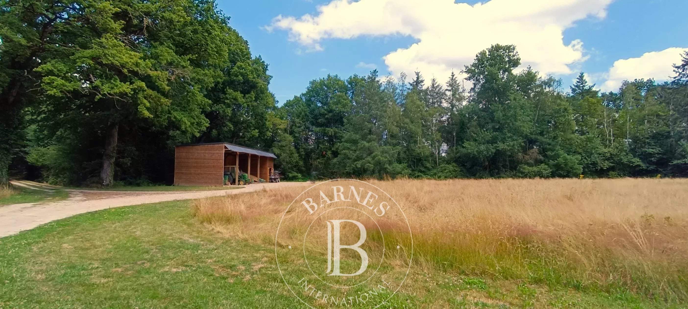 Lamotte-Beuvron  - Domaine de chasse 7 Pi&egrave;ces 4 Chambres - picture 8