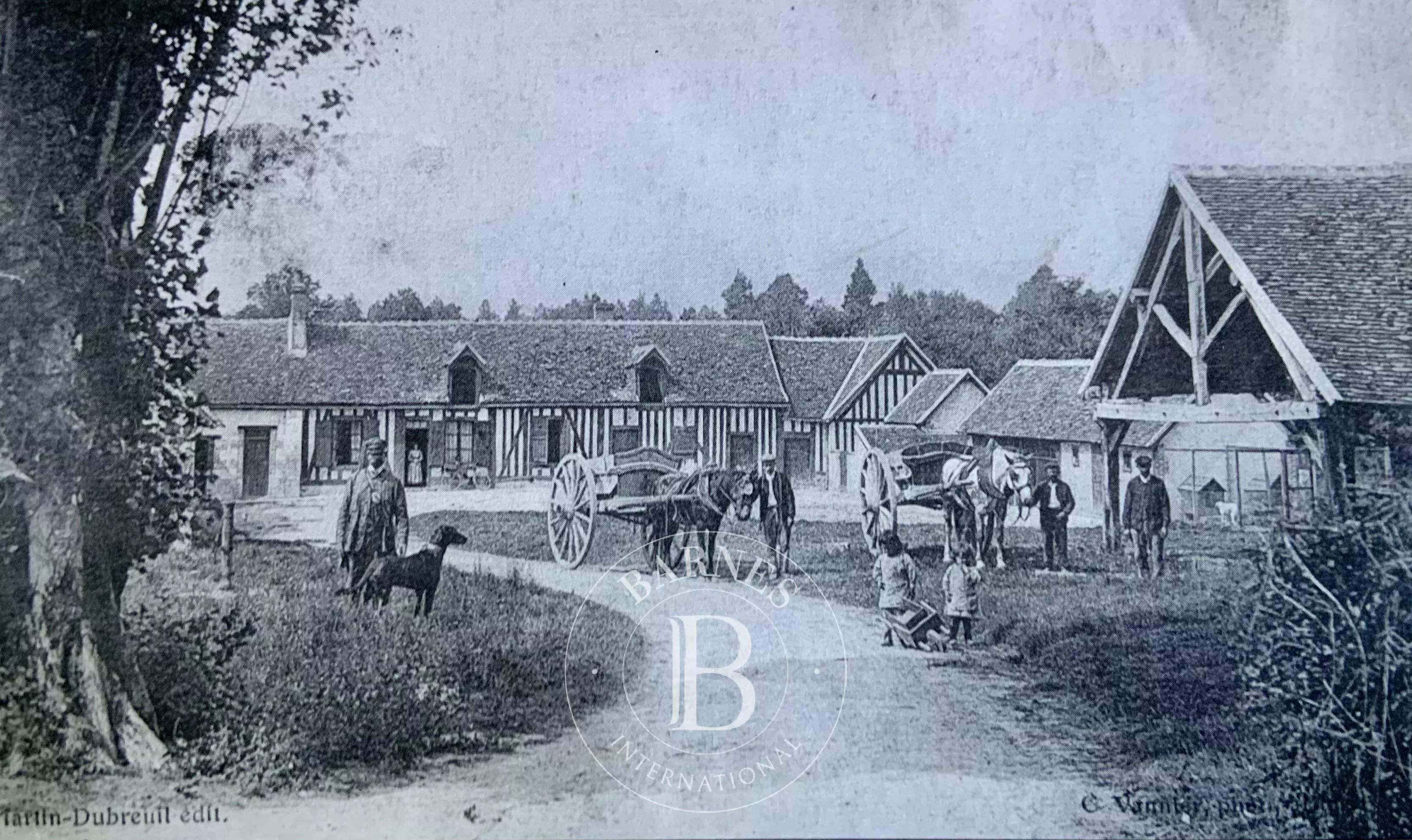 Cheverny  - Fermette 13 Pi&egrave;ces 8 Chambres - picture 18