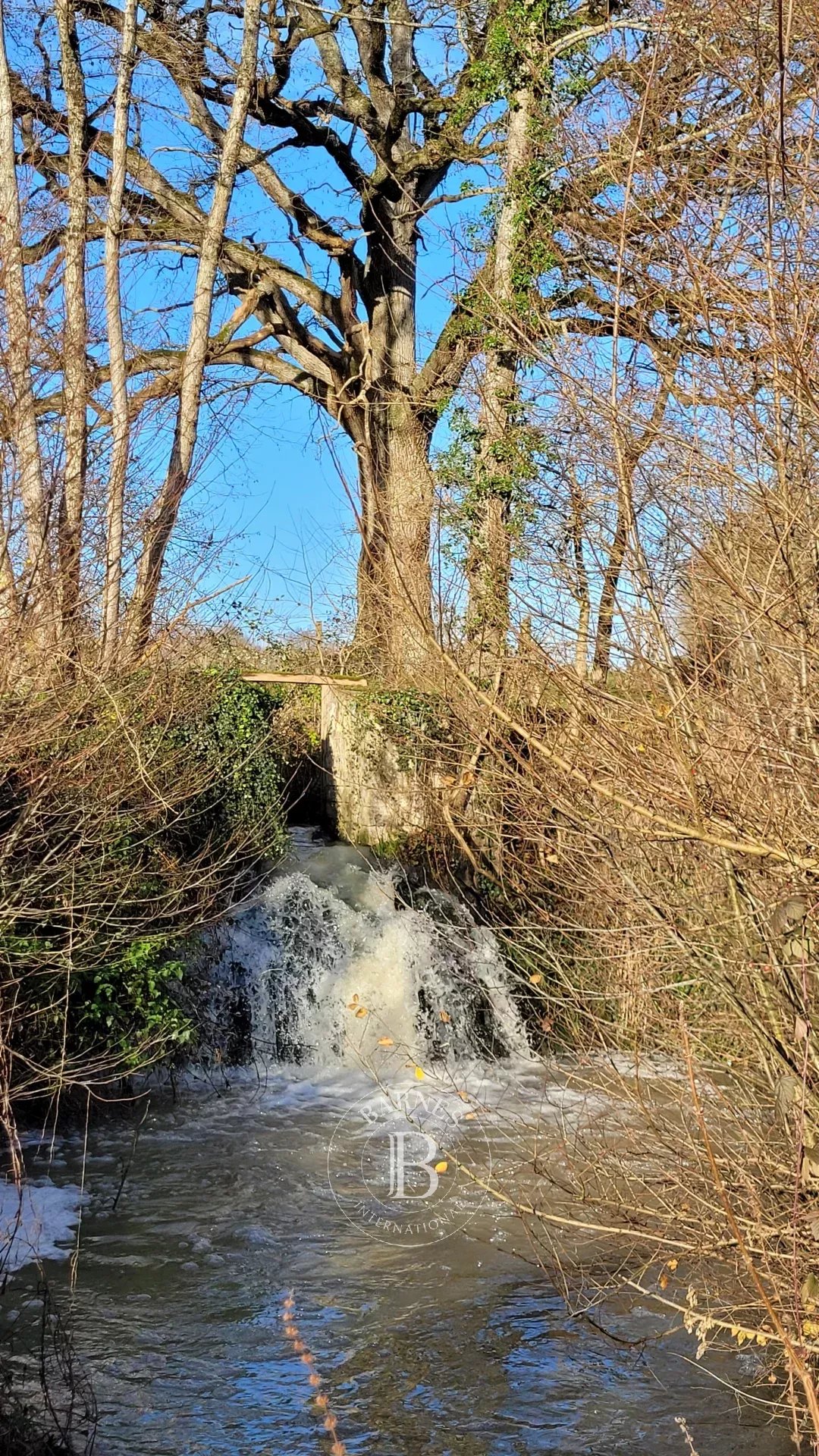 Valençay  - Propriété  - picture 15