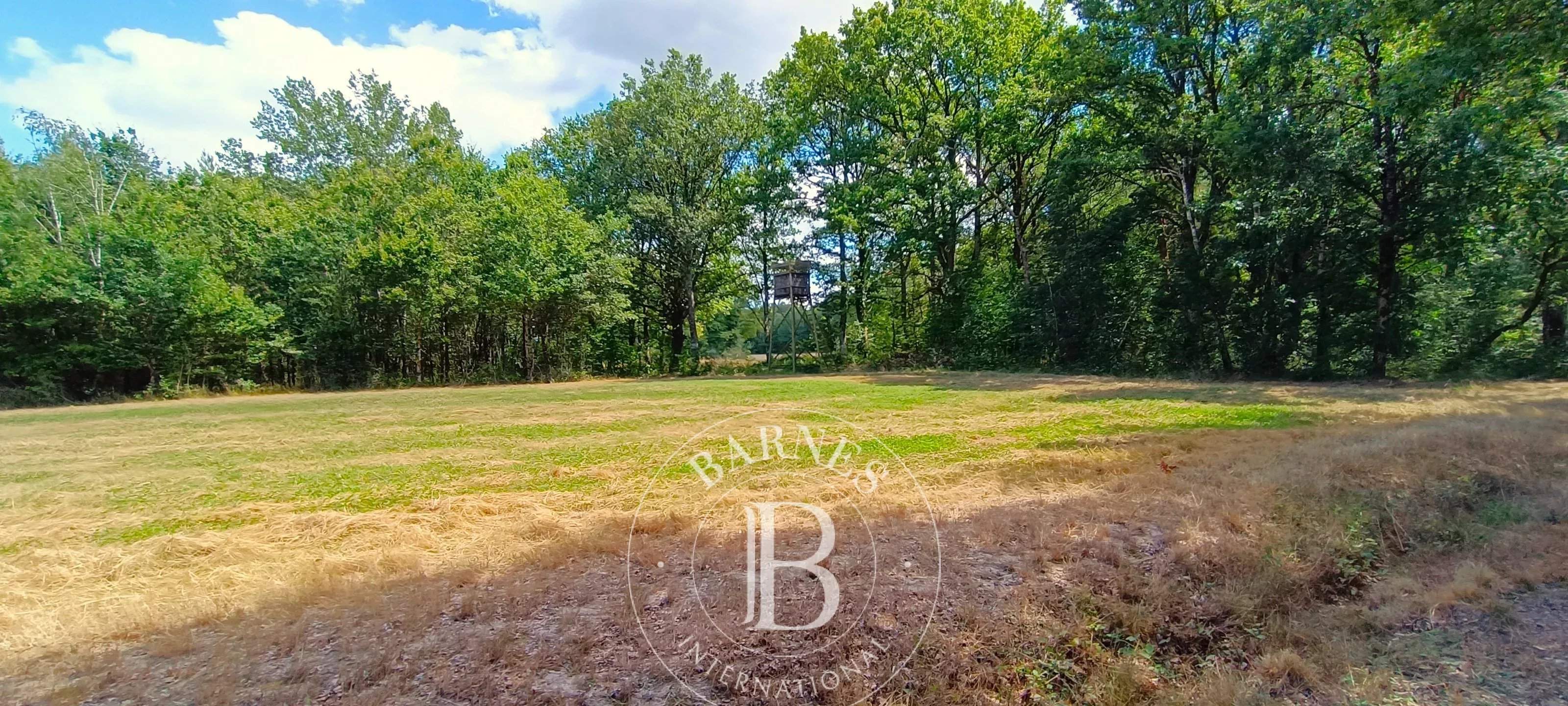 Lamotte-Beuvron  - Domaine de chasse 7 Pi&egrave;ces 4 Chambres - picture 9