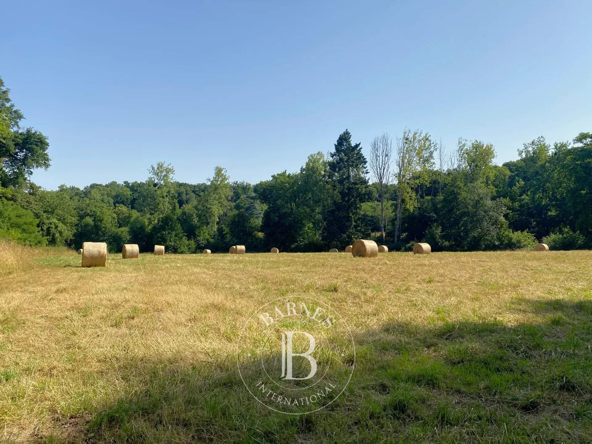 Vendôme  - Castle  - picture 17