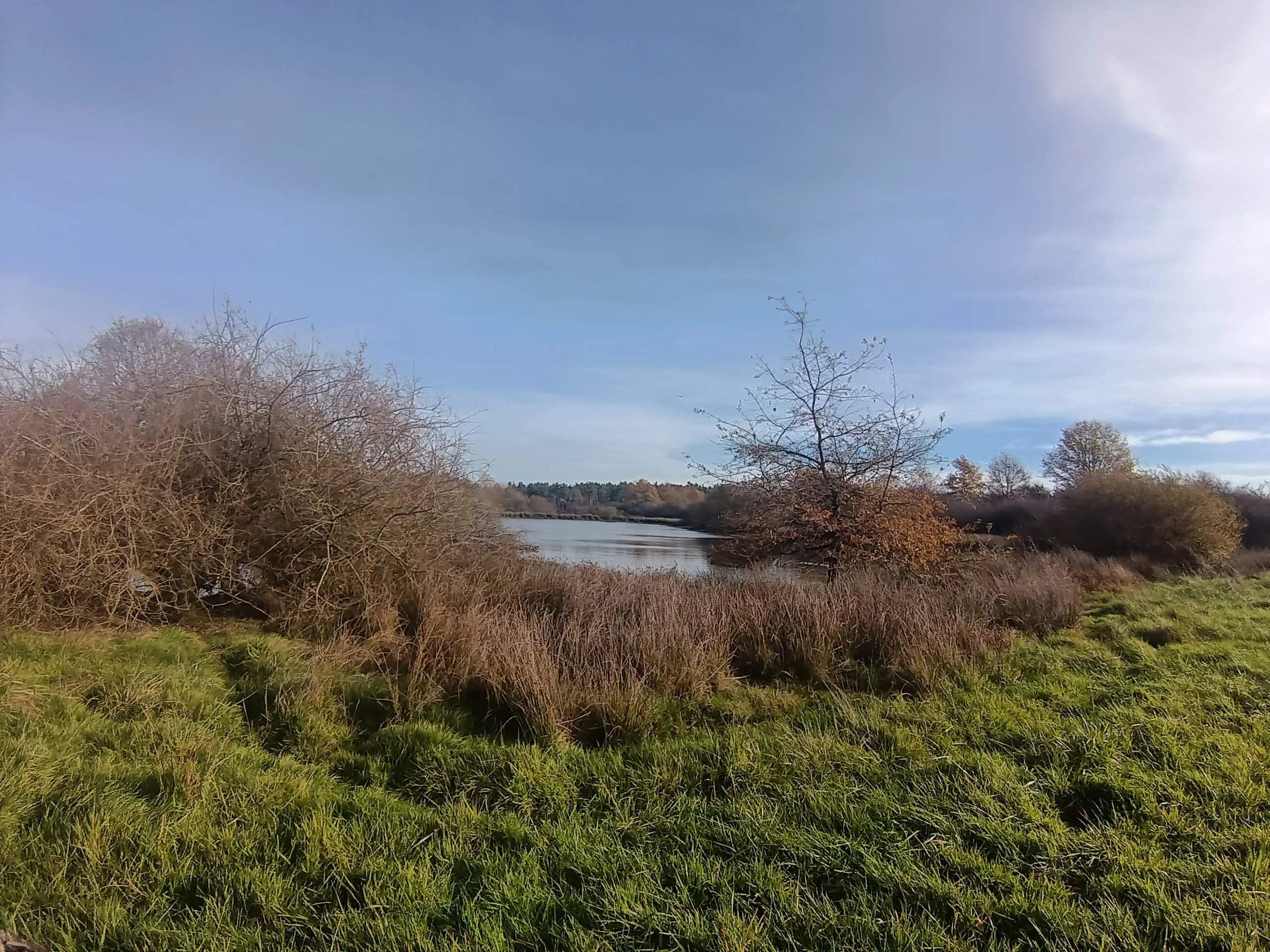 Lusigny  - Propriété 10 Pi&egrave;ces 4 Chambres - picture 12