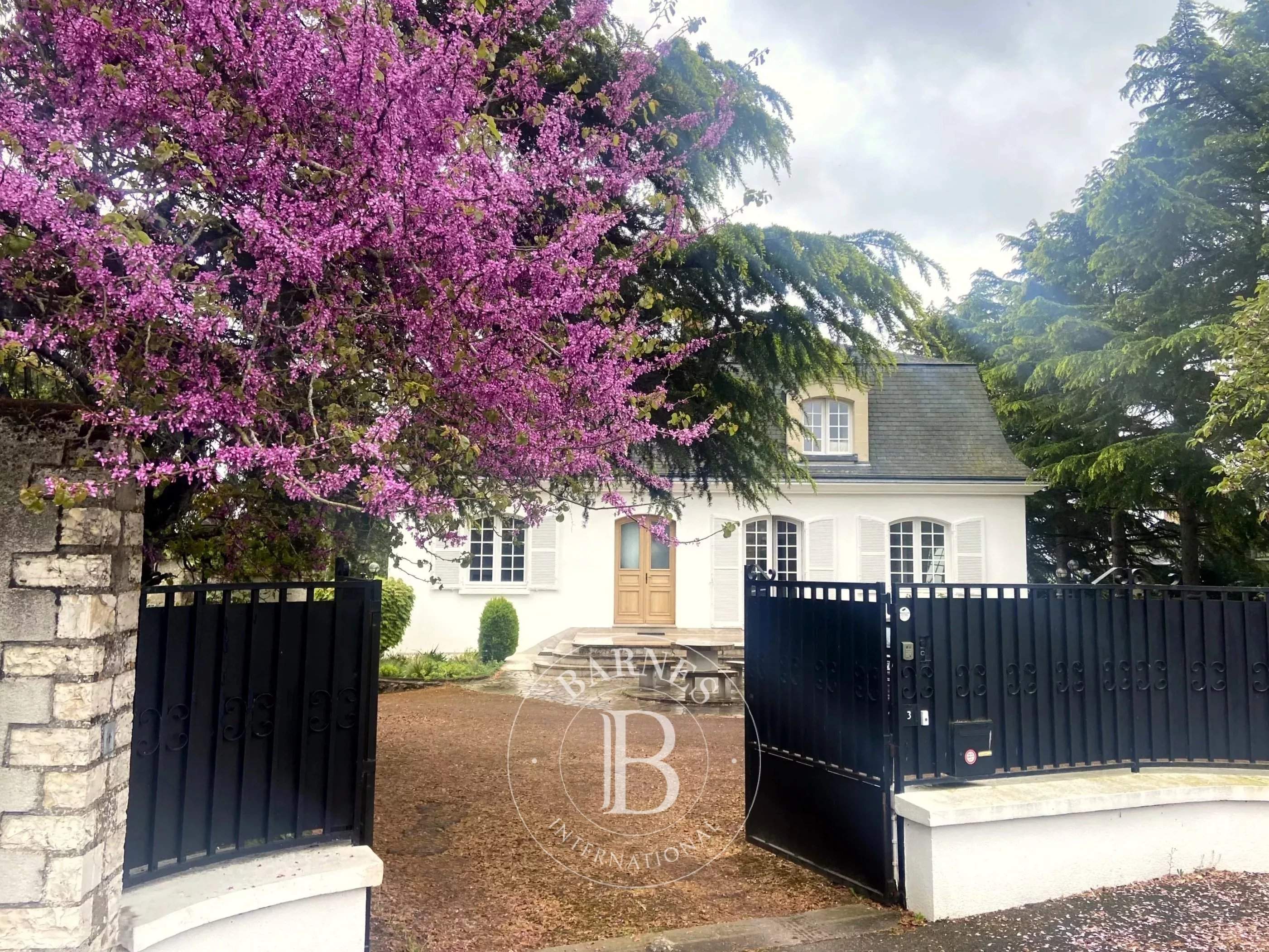 Blois  - Maison de ville 13 Pi&egrave;ces 7 Chambres - picture 9