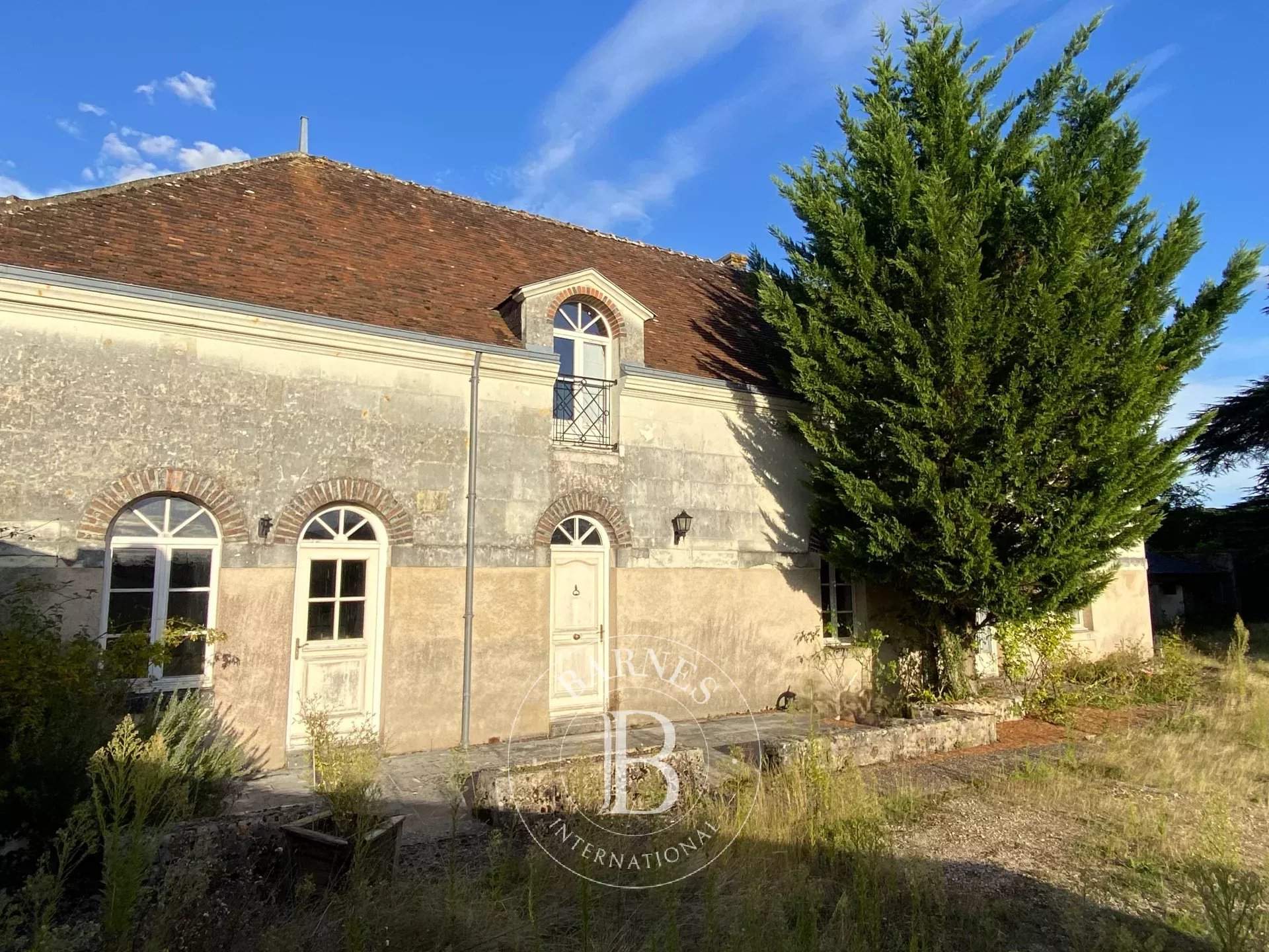 Vendôme  - Castle  - picture 18