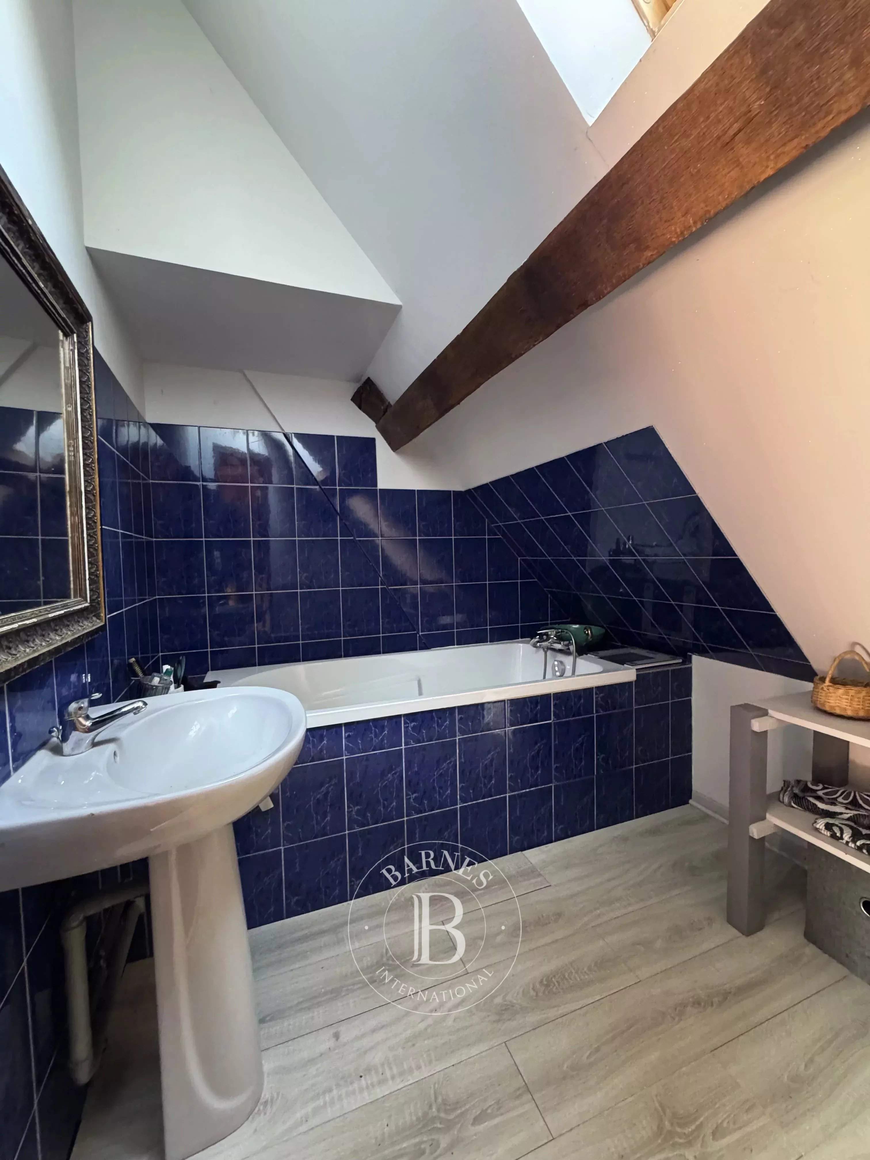 Graçay  - Domaine équestre 5 Pi&egrave;ces 3 Chambres - picture 16