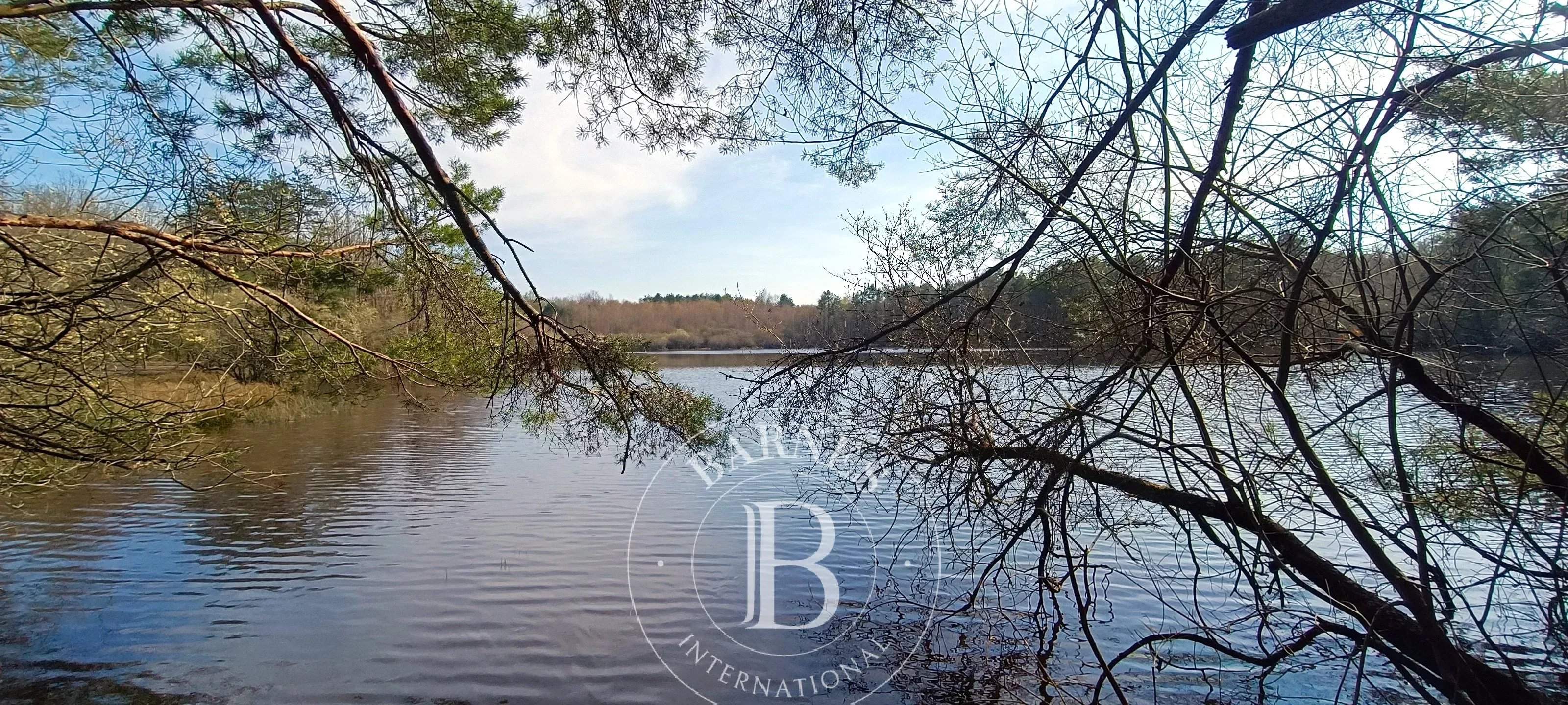 Salbris  - Domaine de chasse 10 Pi&egrave;ces 4 Chambres - picture 11