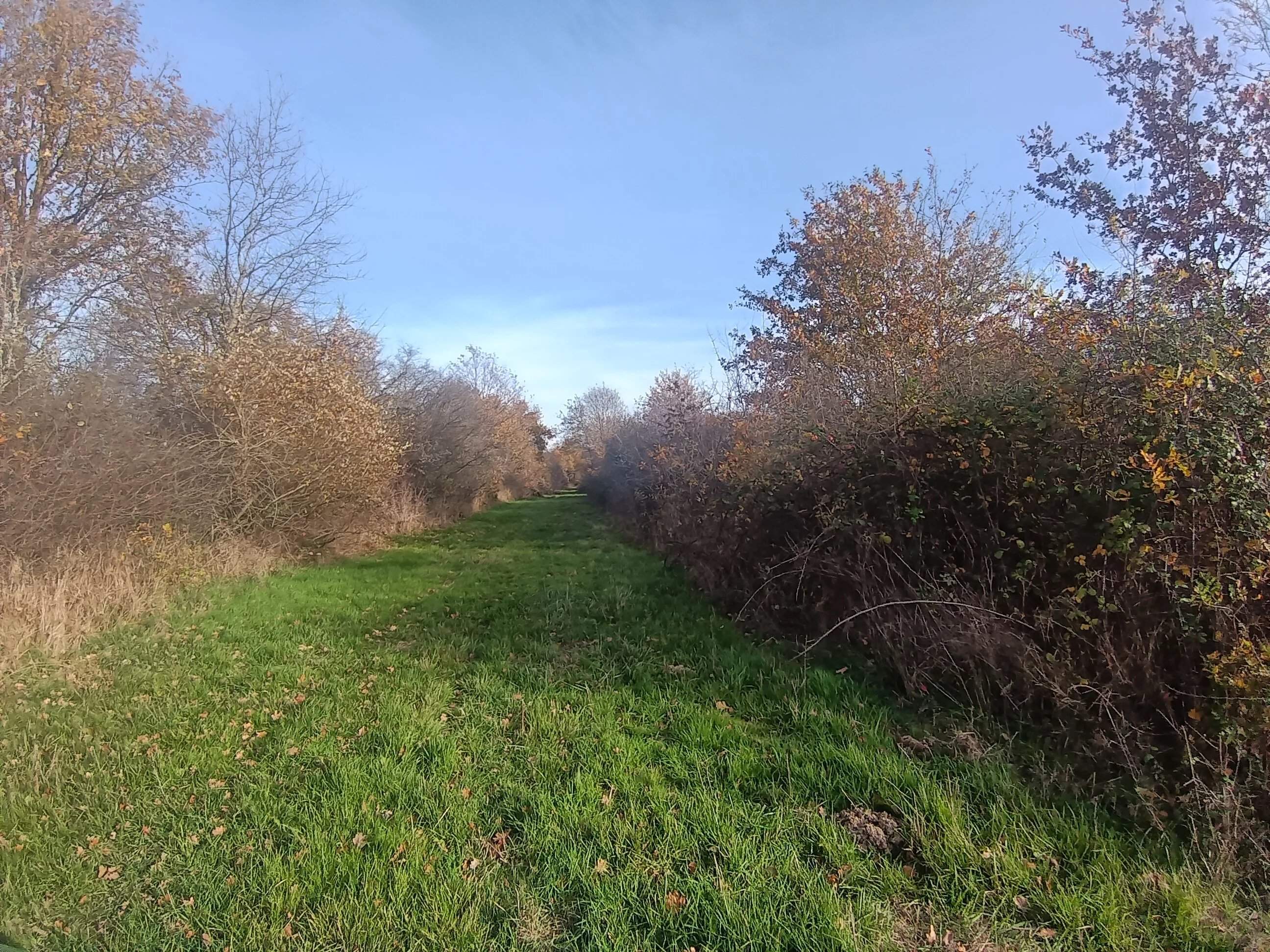 Lusigny  - Propriété 10 Pi&egrave;ces 4 Chambres - picture 15