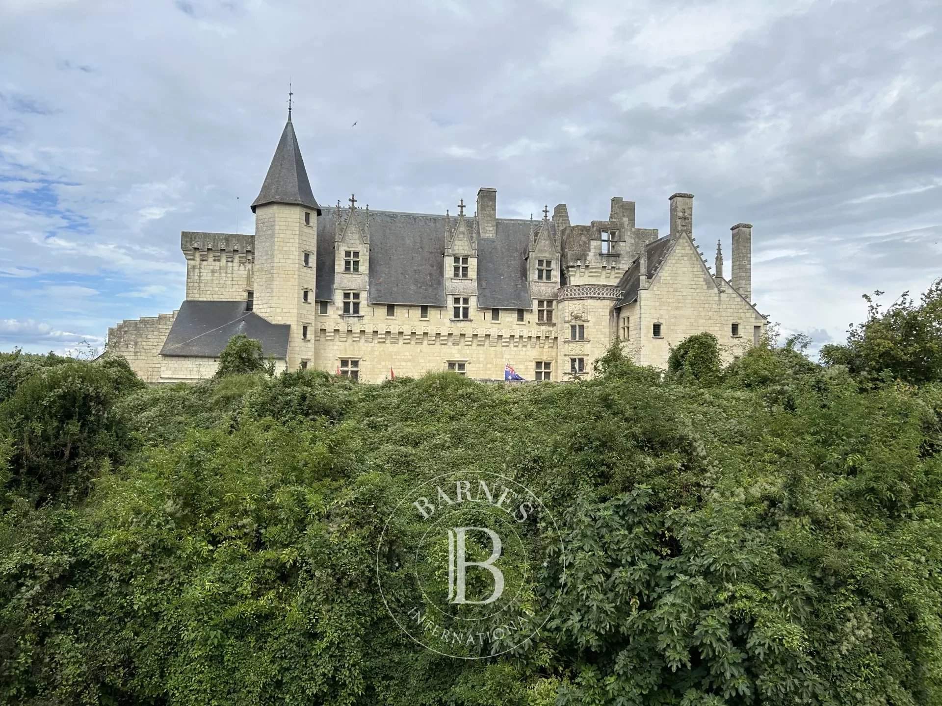 Montsoreau  - Village house 4 Bedrooms - picture 3