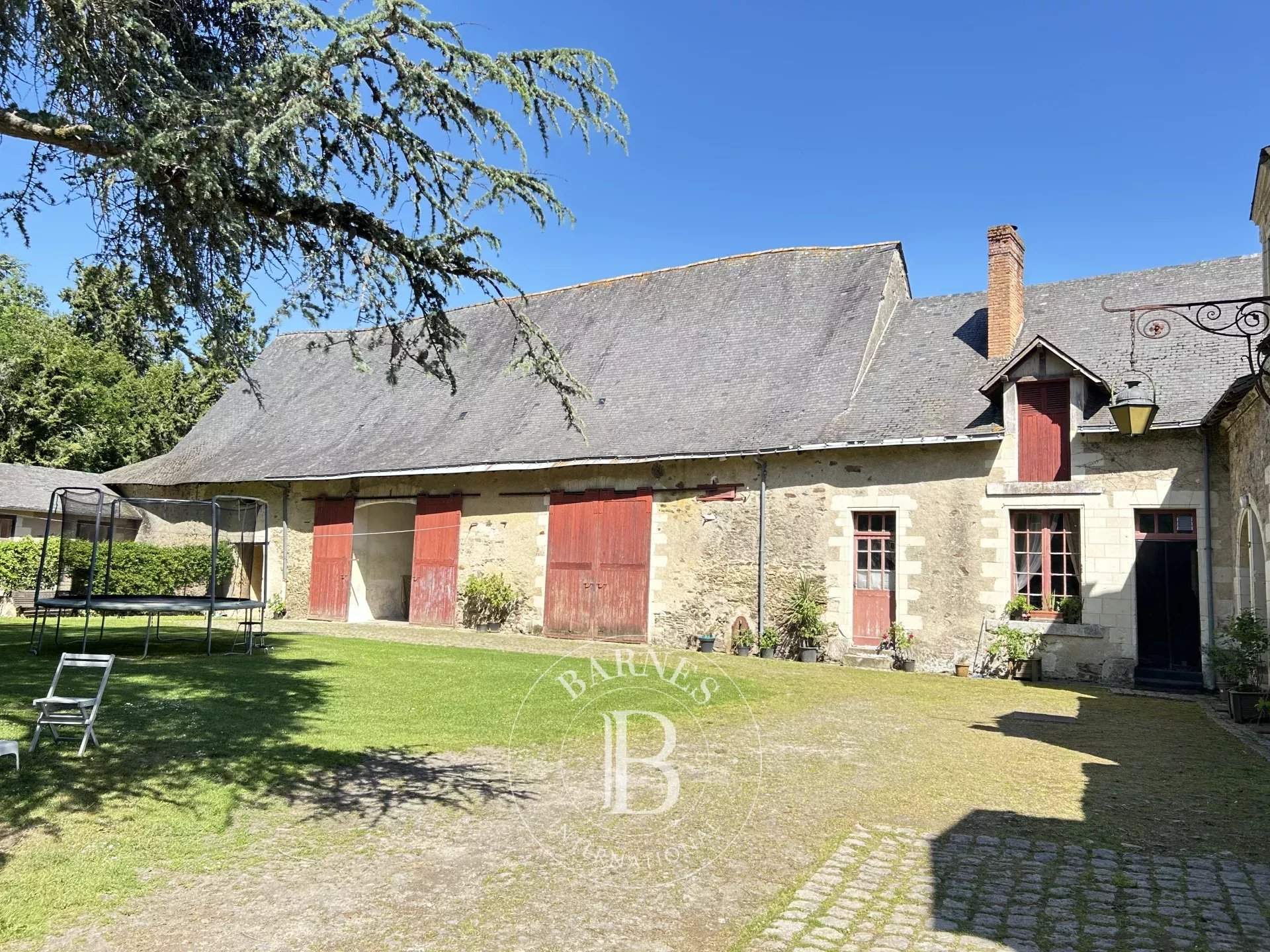 Chazé-sur-Argos  - Castle 15 Bedrooms - picture 14