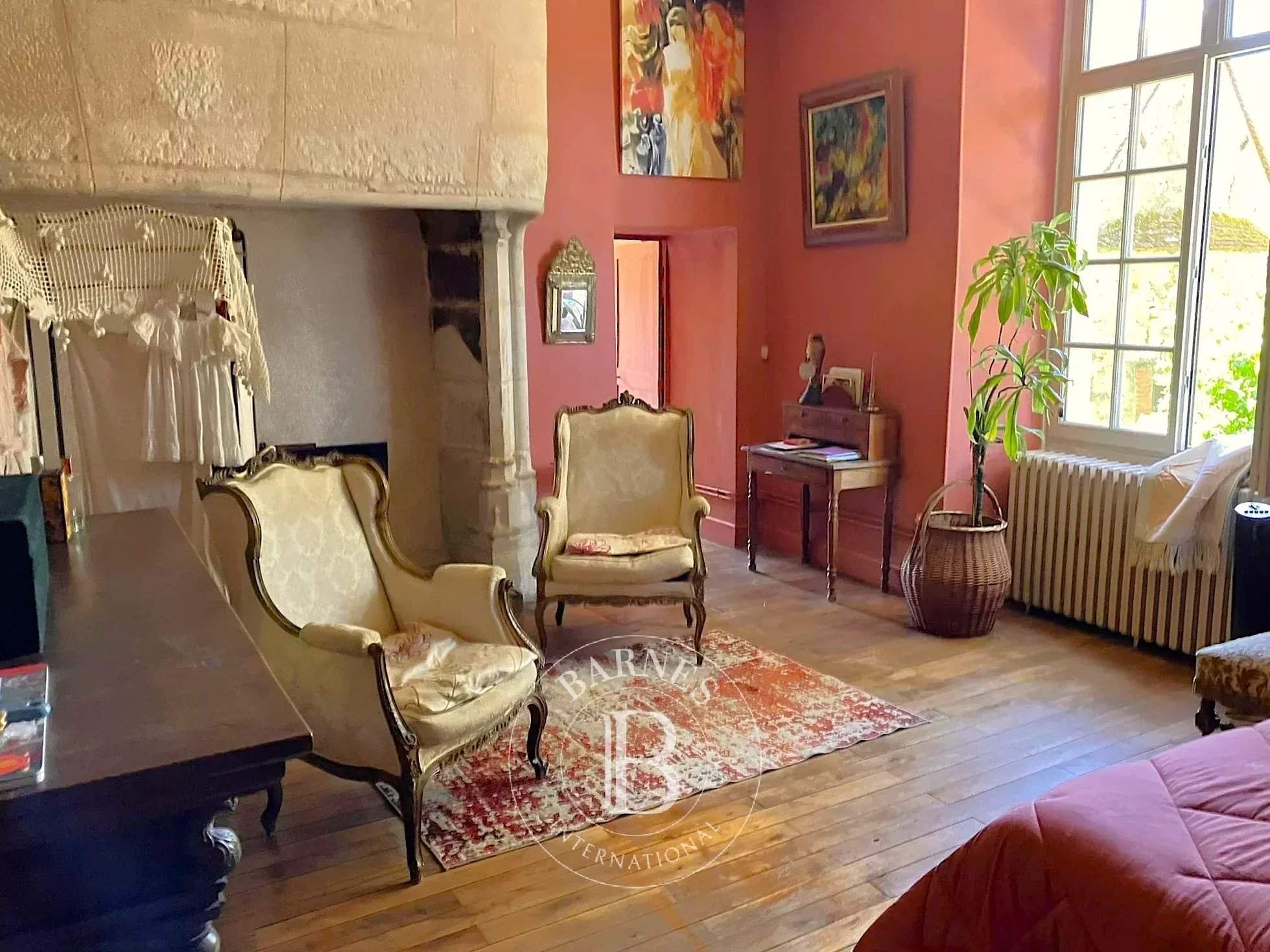 Mehun-sur-Yèvre  - Hôtel particulier  - picture 9