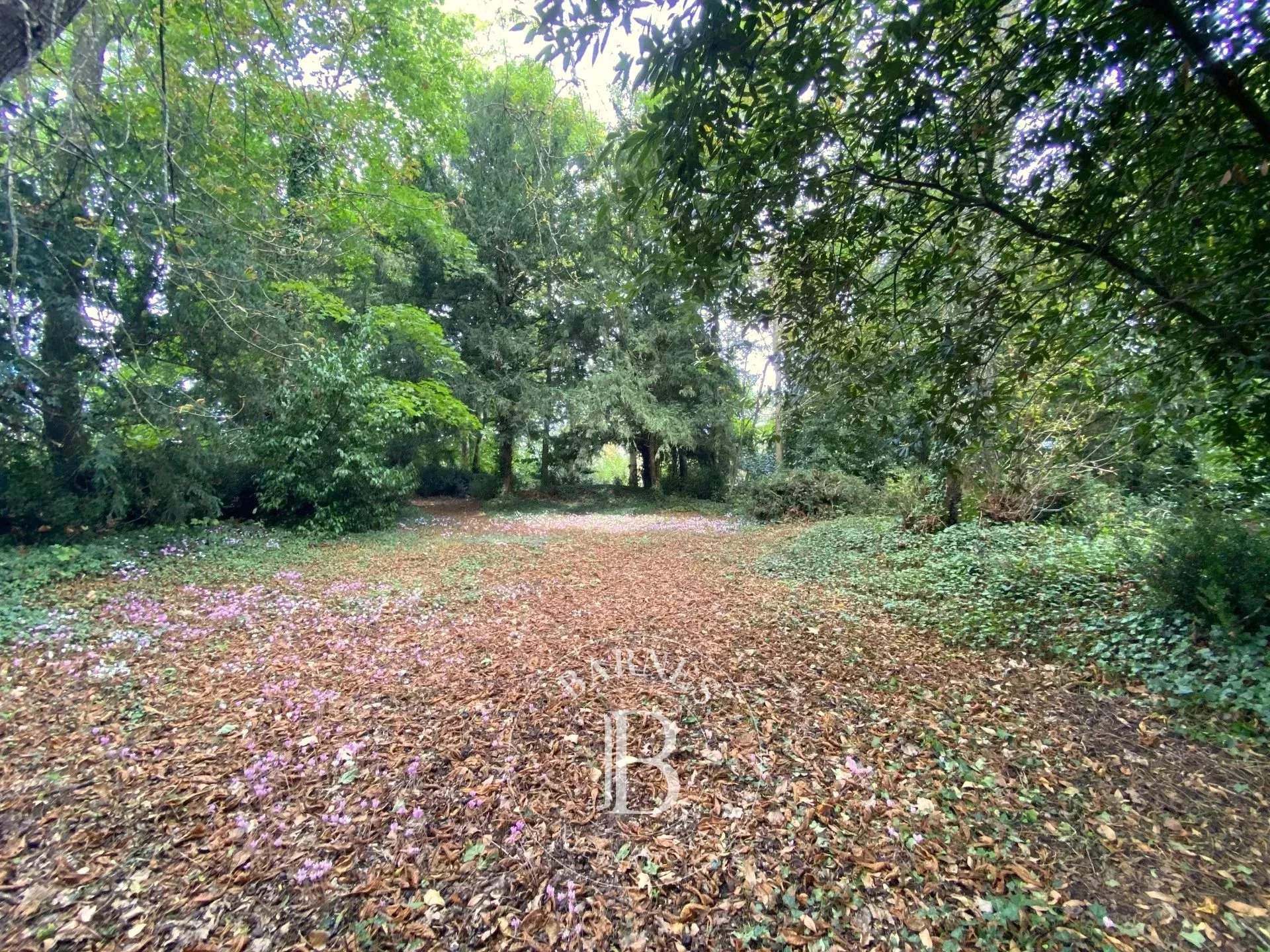 Cour-Cheverny  - House 5 Bedrooms - picture 14