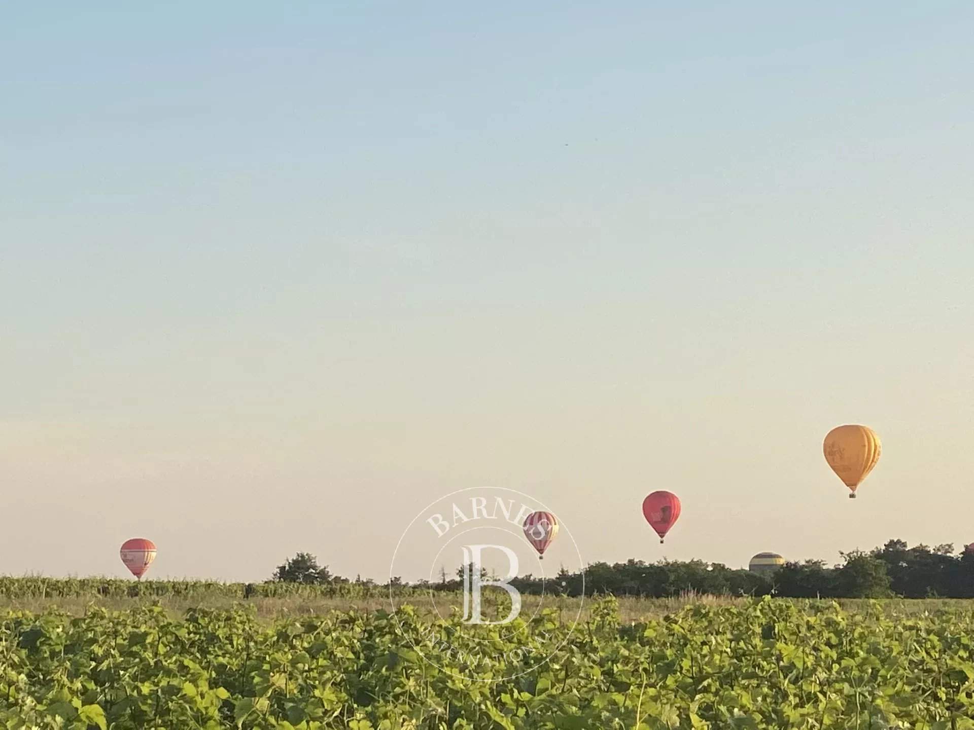 Veuzain-sur-Loire  - Village house 6 Bedrooms - picture 20