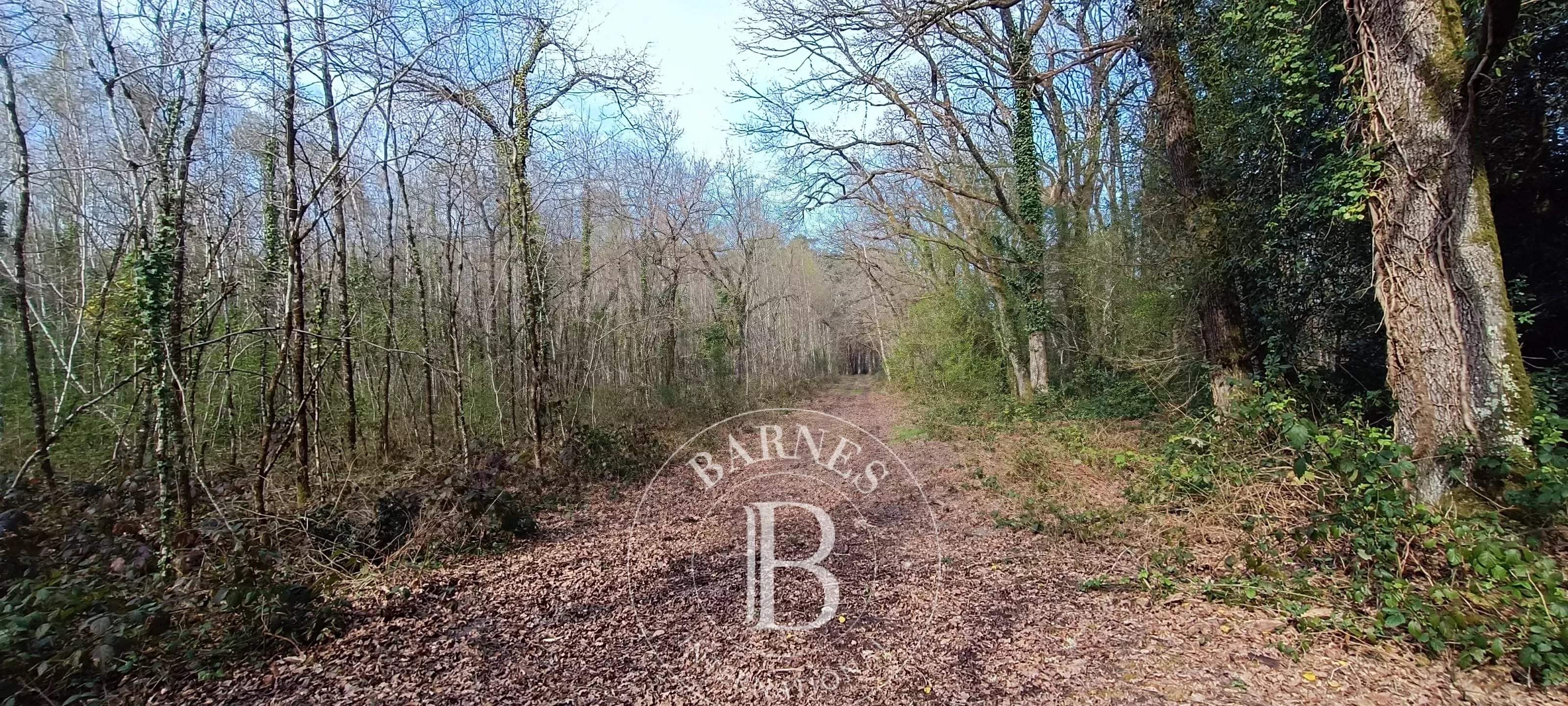 Salbris  - Domaine de chasse 10 Pi&egrave;ces 4 Chambres - picture 12