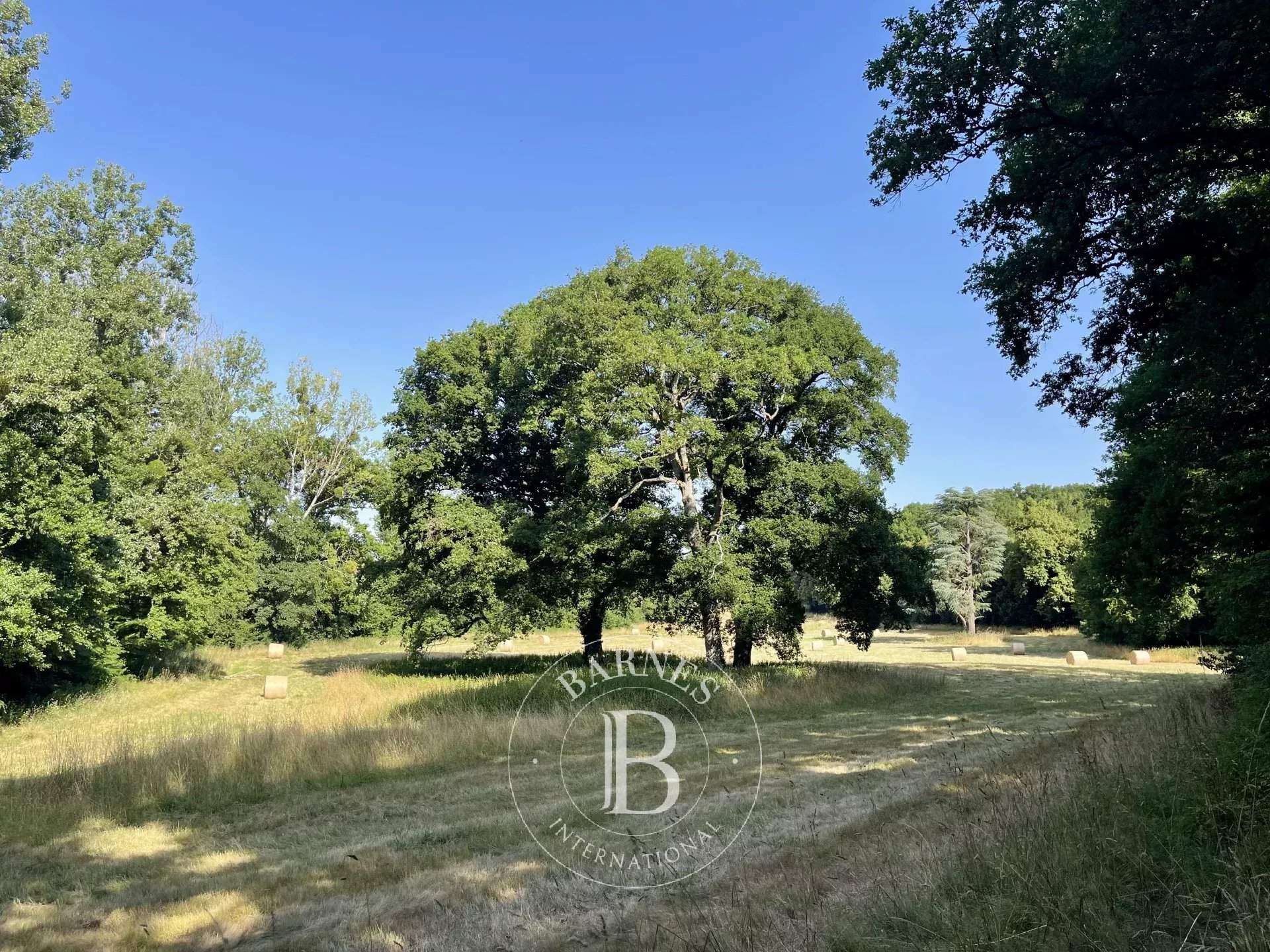 Vendôme  - Castle  - picture 2