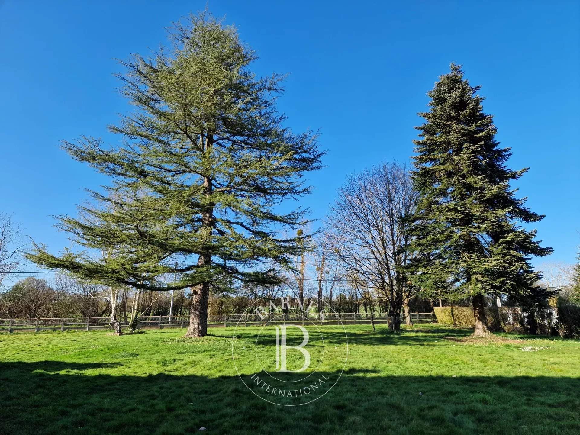 Nogent-le-Rotrou  - House 4 Bedrooms - picture 20