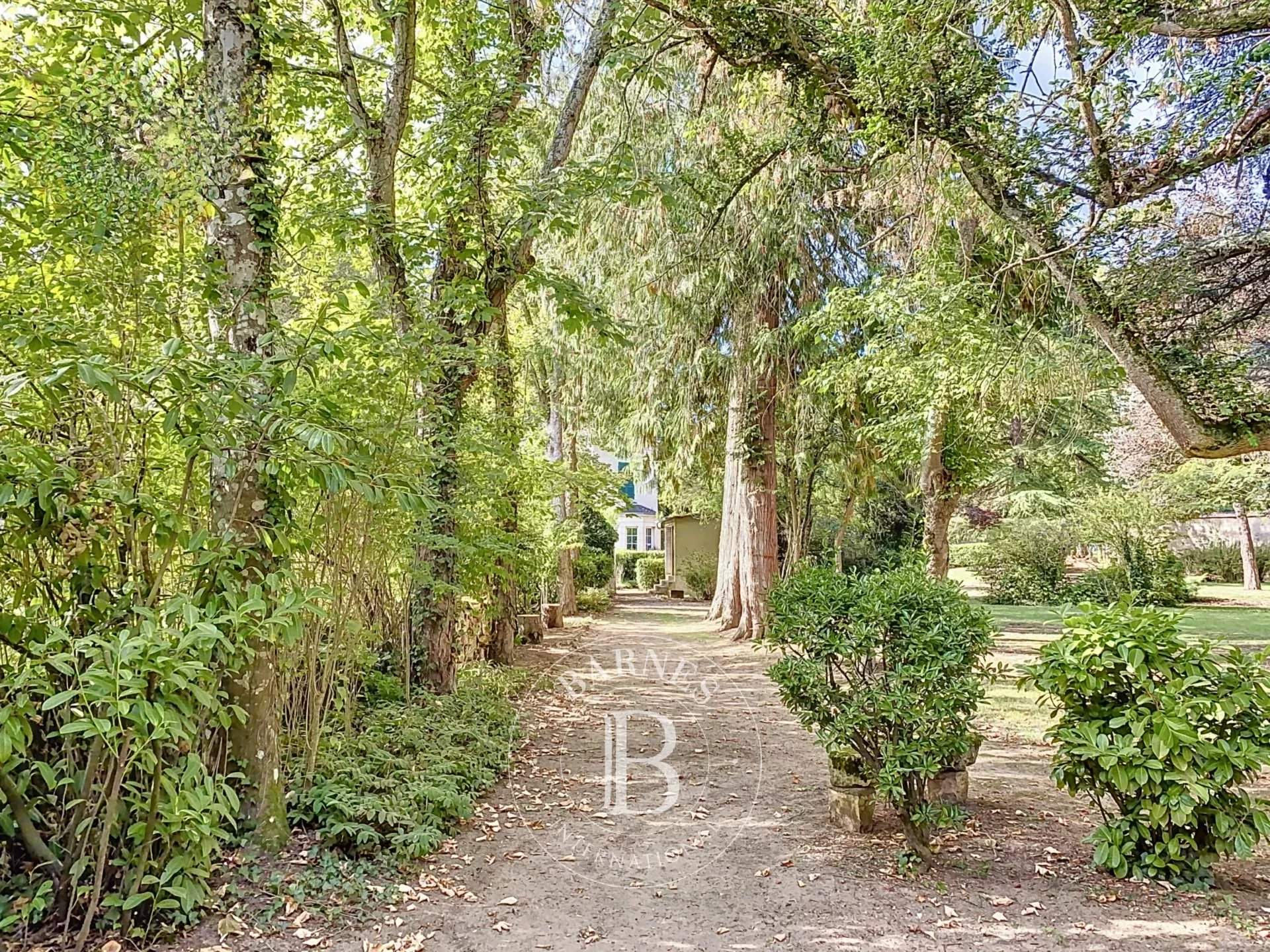 Le Blanc  - Manor house 7 Bedrooms - picture 12