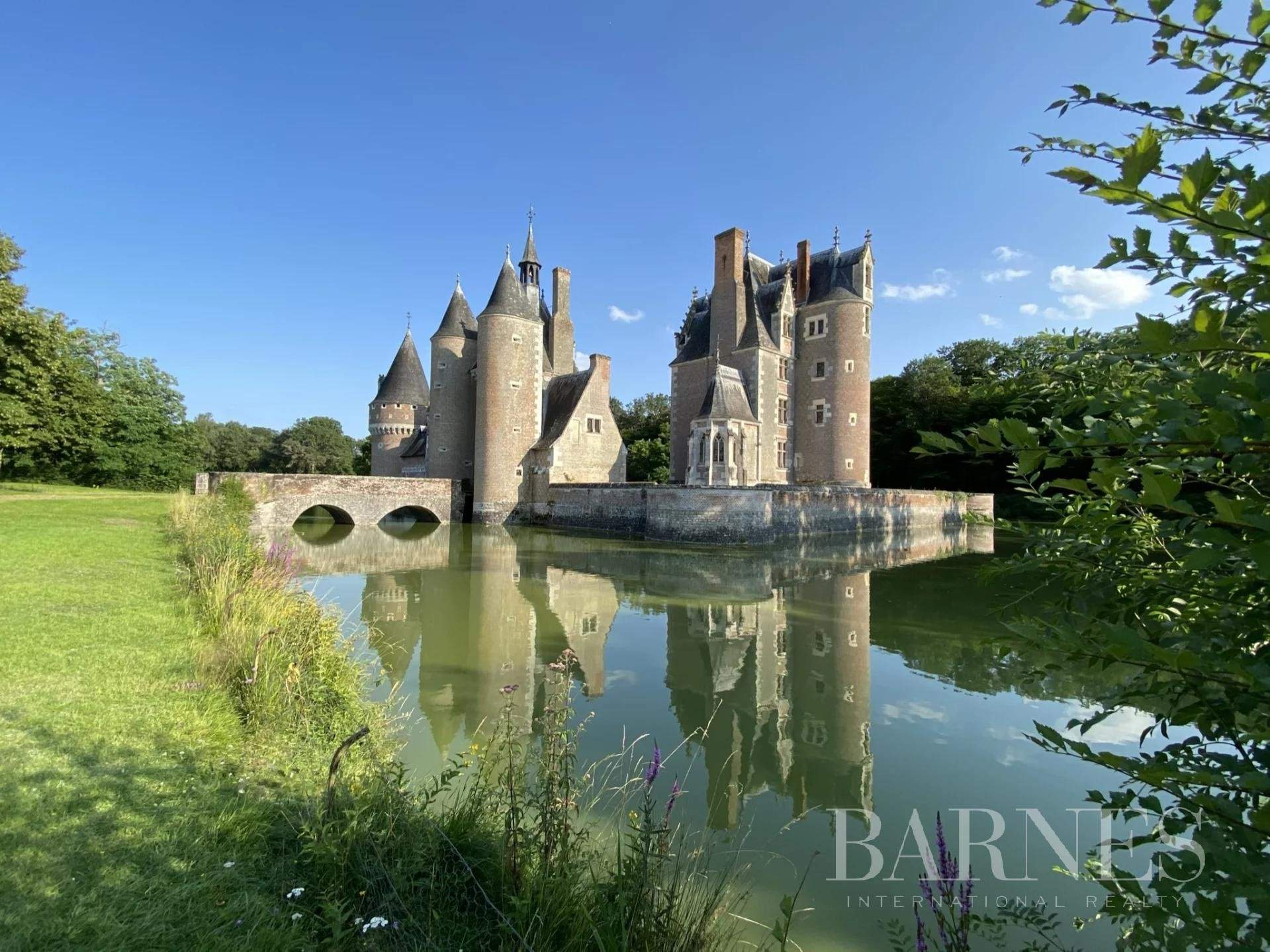 Blois  - Château  - picture 7