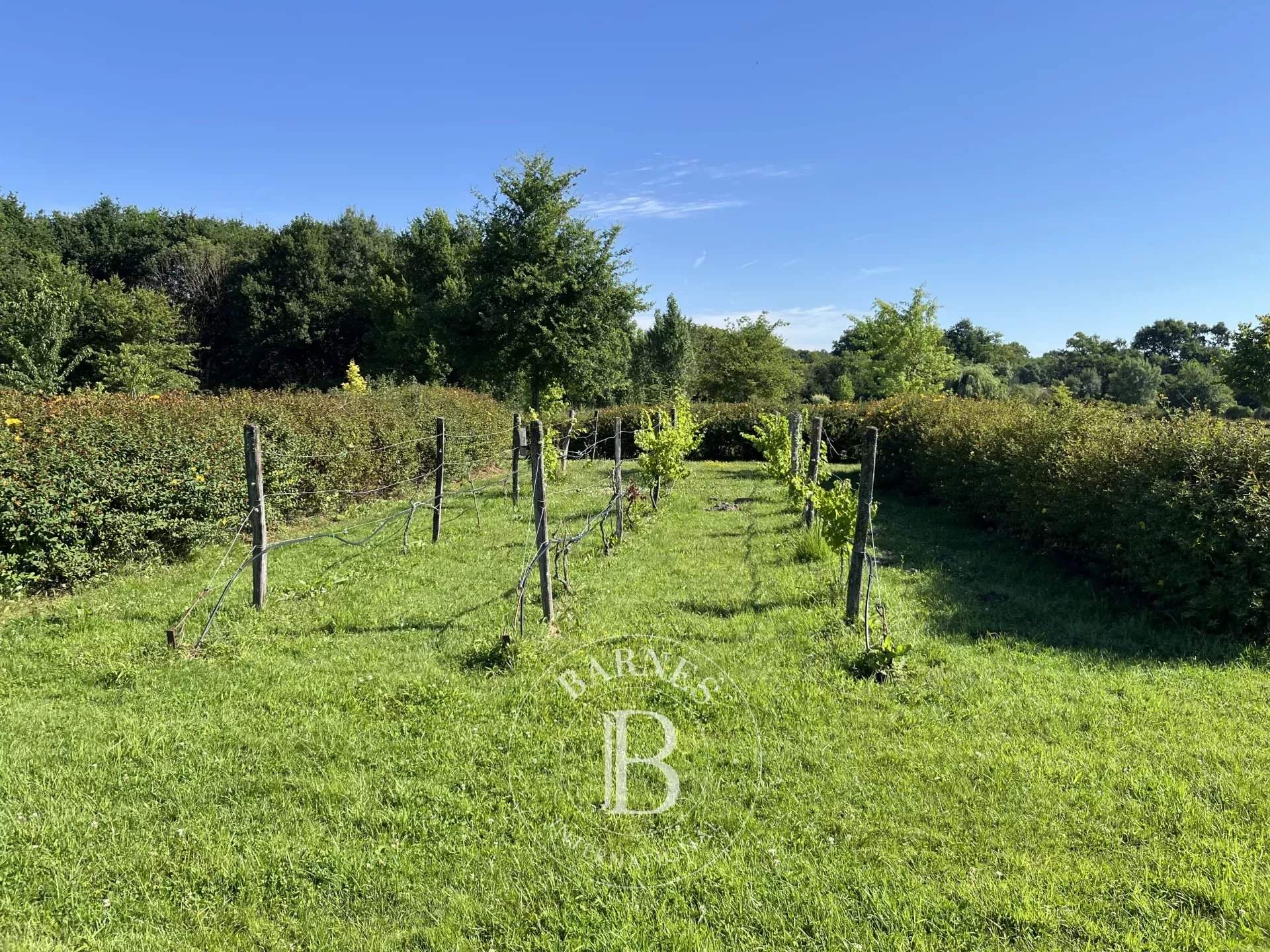 Vernou-en-Sologne  - Maison 14 Pièces 5 Chambres - picture 11