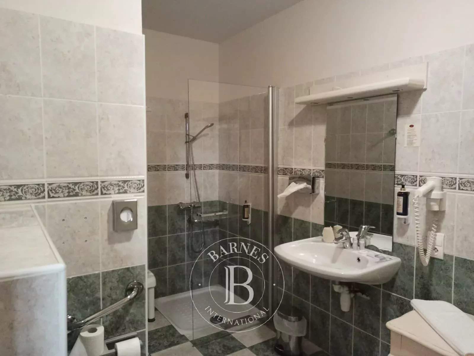 Ygrande  - Domaine équestre  - picture 11