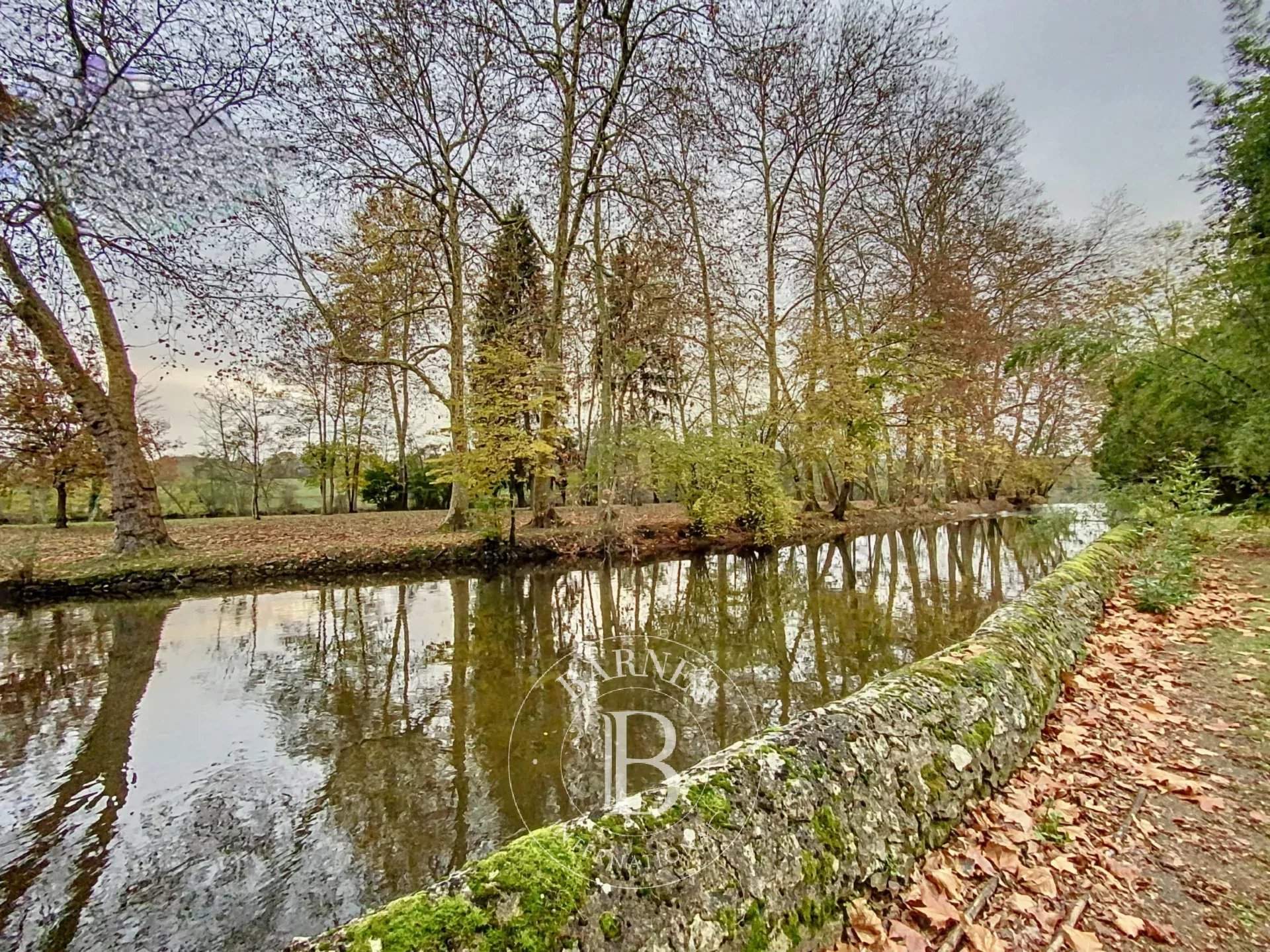 Le Blanc  - Manor house 7 Bedrooms - picture 20