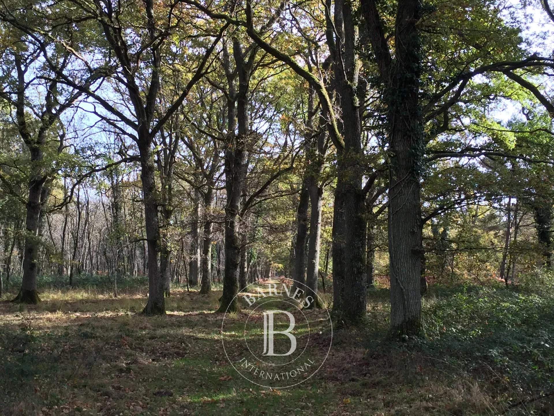 Tours  - Propriété 12 Pi&egrave;ces 5 Chambres - picture 3