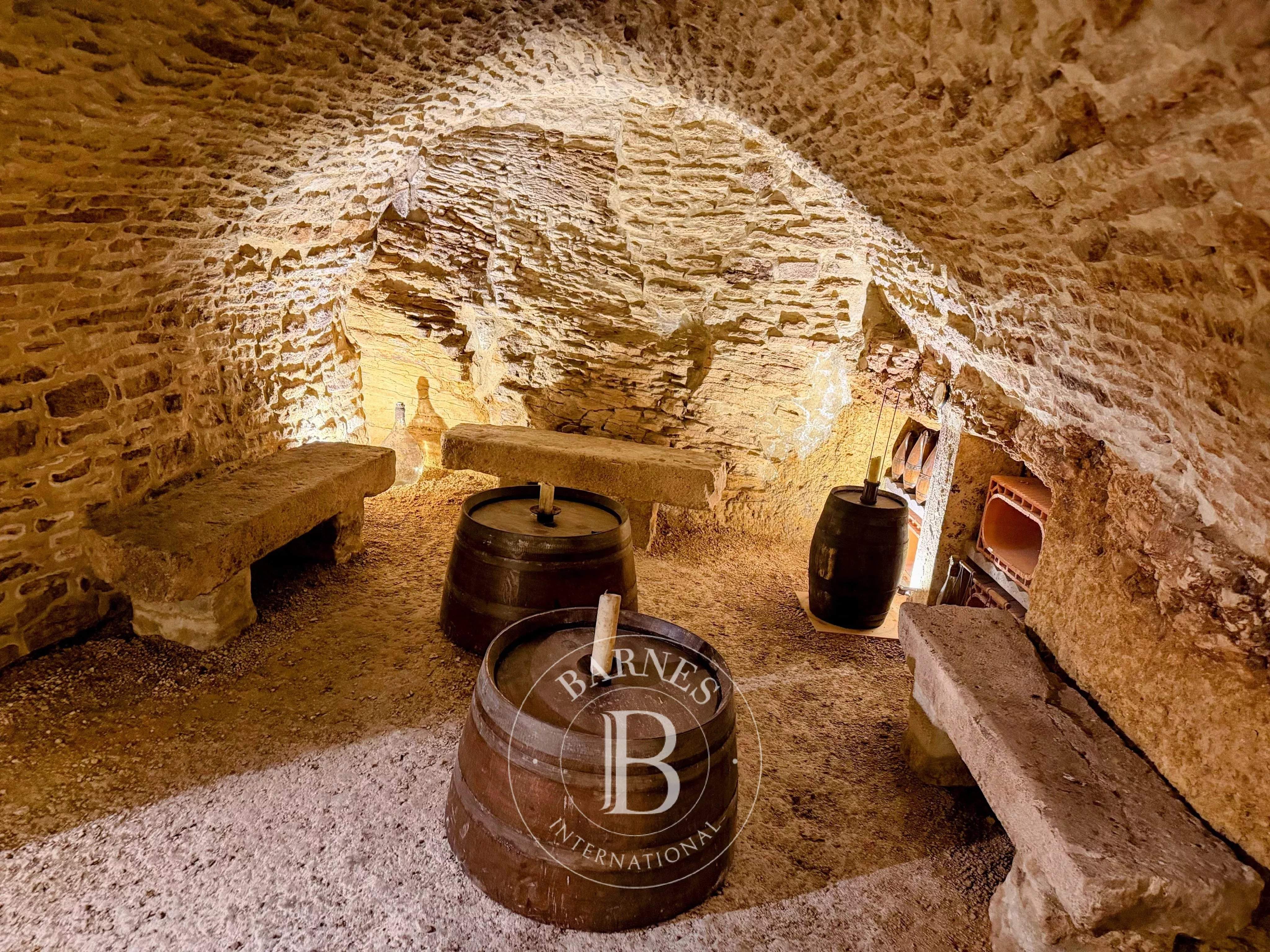 Clamecy  - Maison de ville 22 Pi&egrave;ces 7 Chambres - picture 9