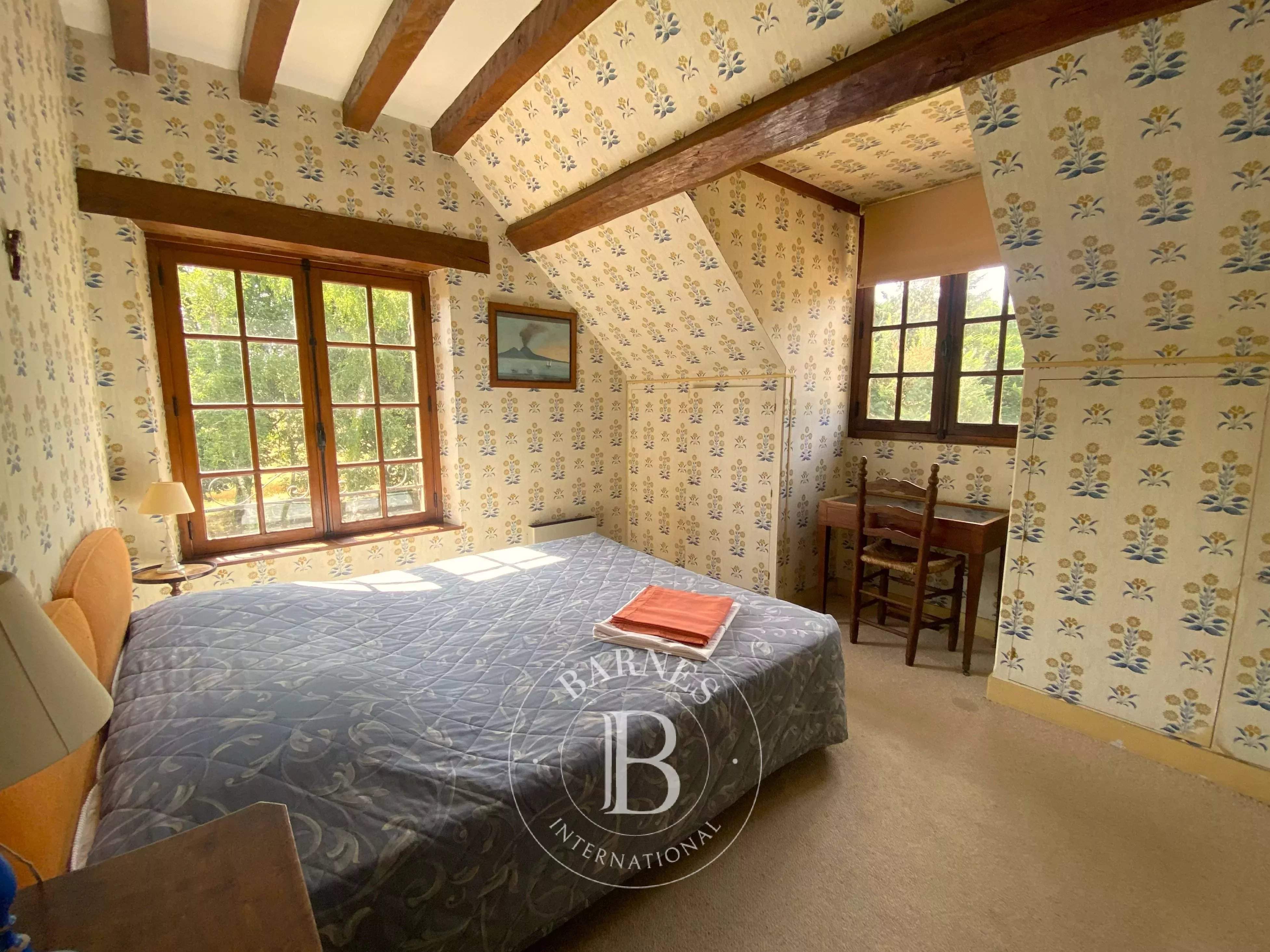 Savigny-sur-Braye  - Maison 14 Pi&egrave;ces 10 Chambres - picture 9