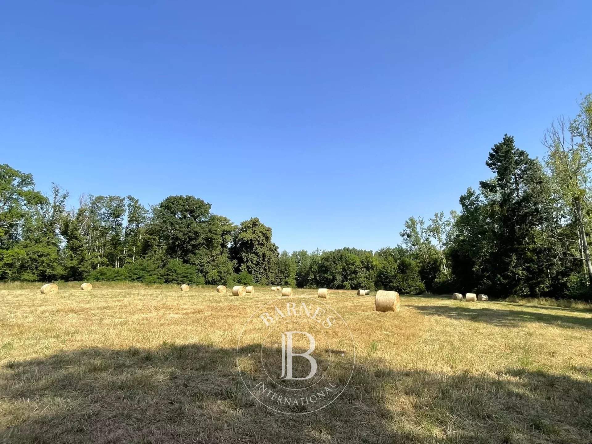 Vendôme  - Castle  - picture 9