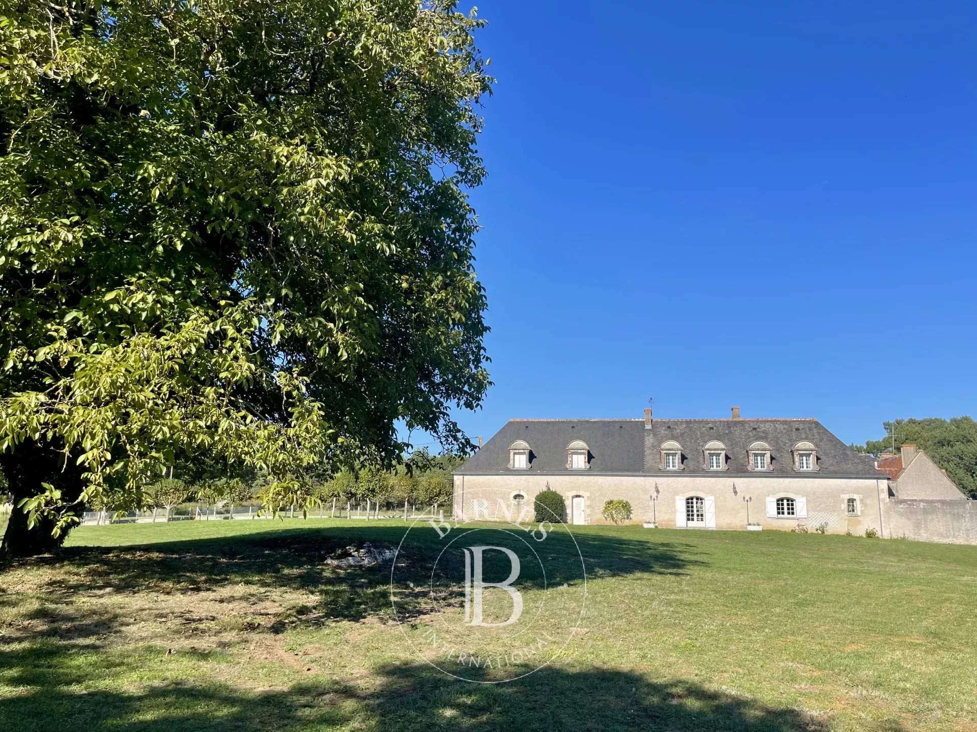 Tours  - Propriété 12 Pi&egrave;ces 5 Chambres - picture 4