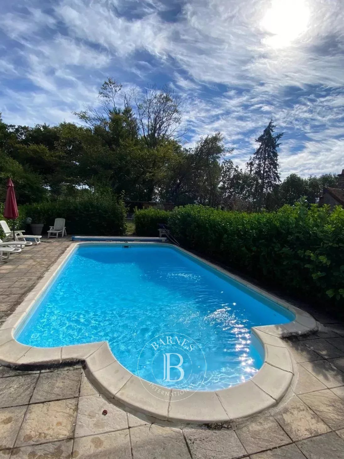 Beaumont-Sardolles  - Manoir 17 Pi&egrave;ces 9 Chambres - picture 8