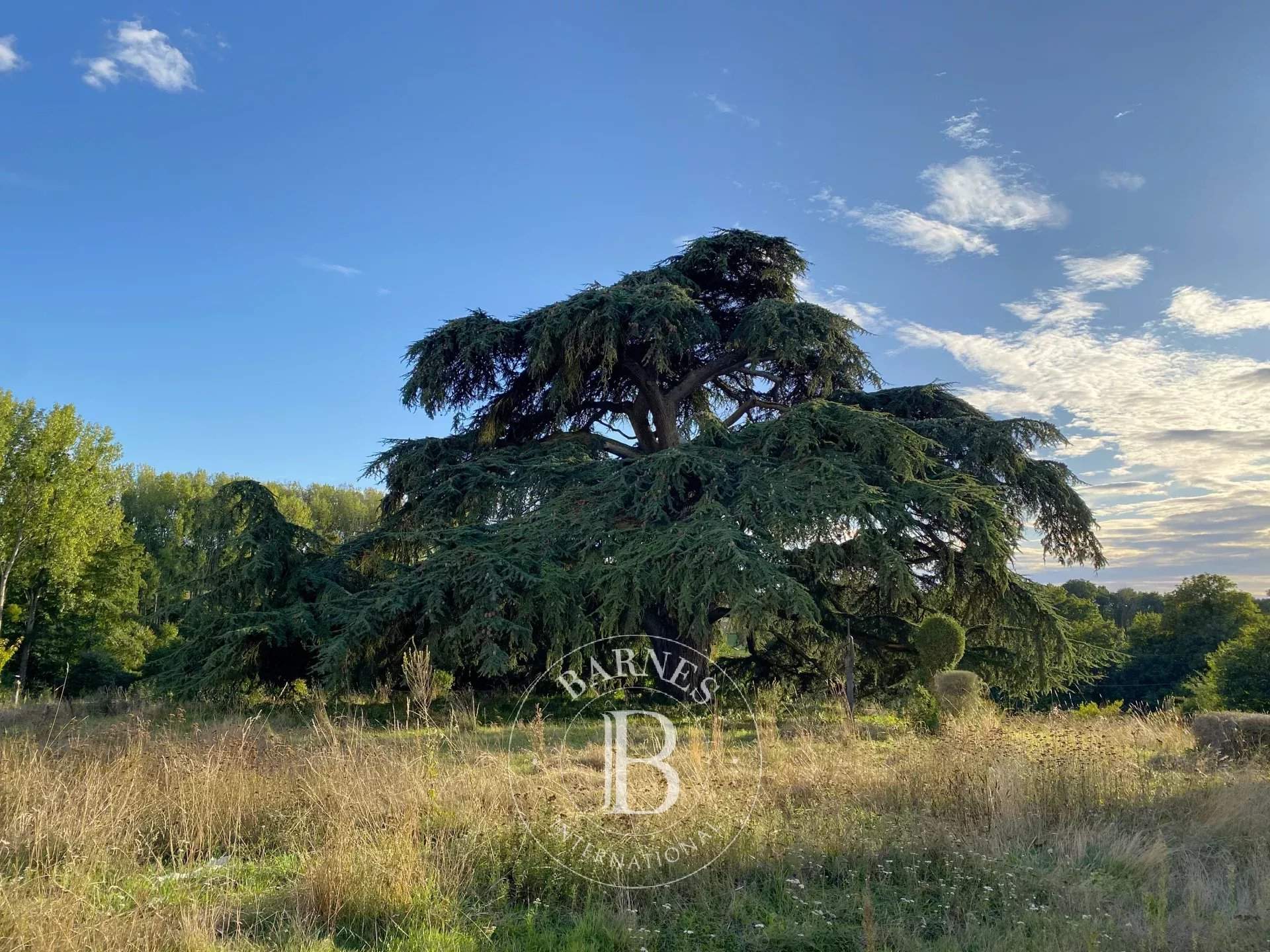 Vendôme  - Castle  - picture 13