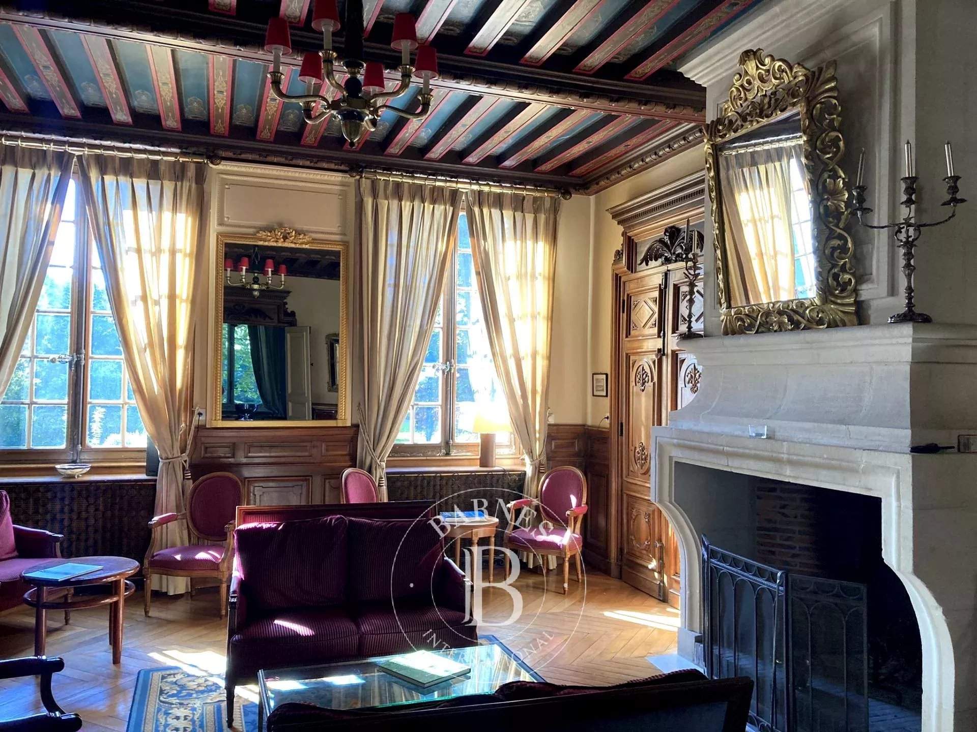 Contres  - Castle 8 Bedrooms - picture 5