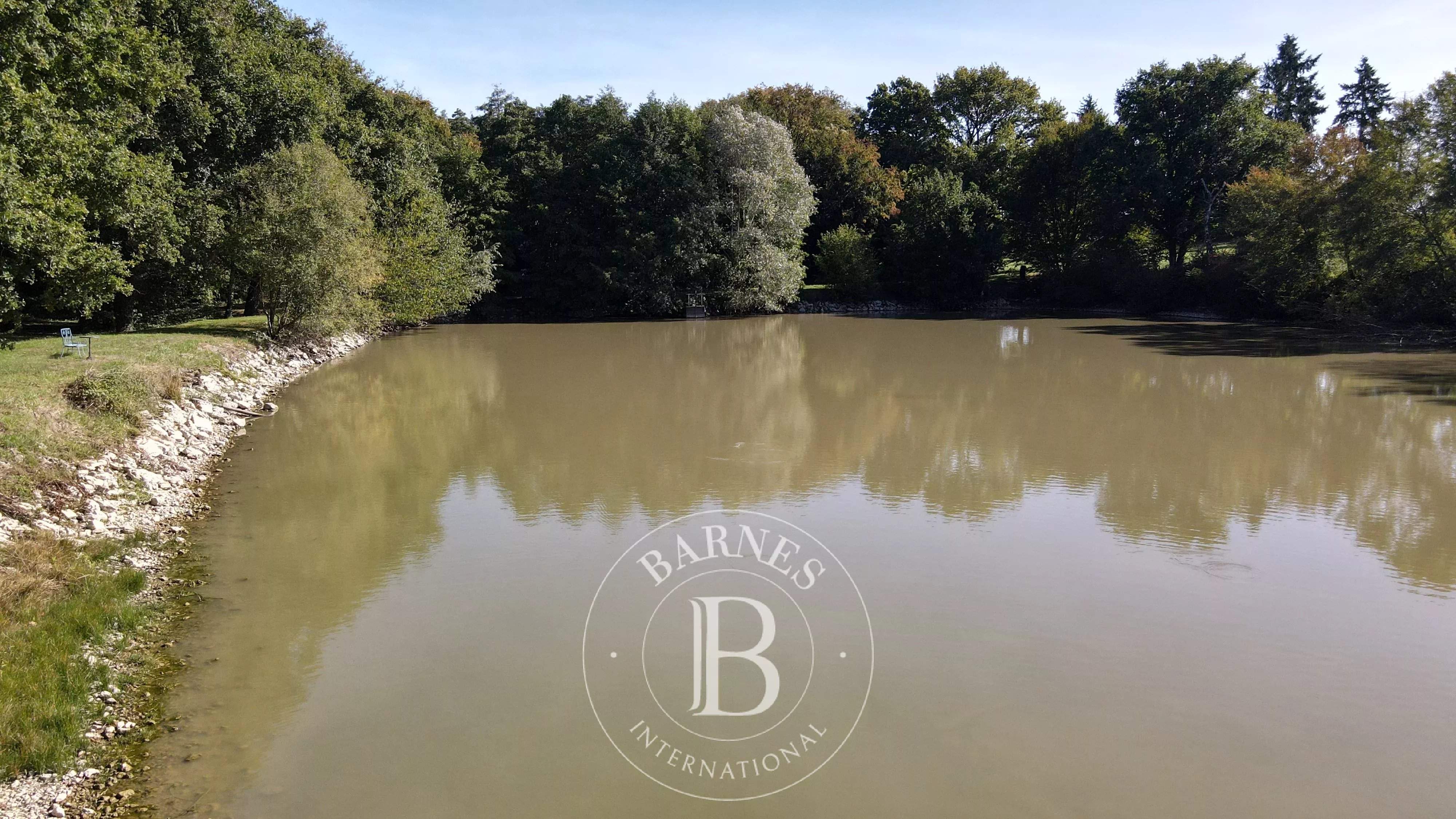 Valençay  - Propriété 7 Pi&egrave;ces 5 Chambres - picture 13