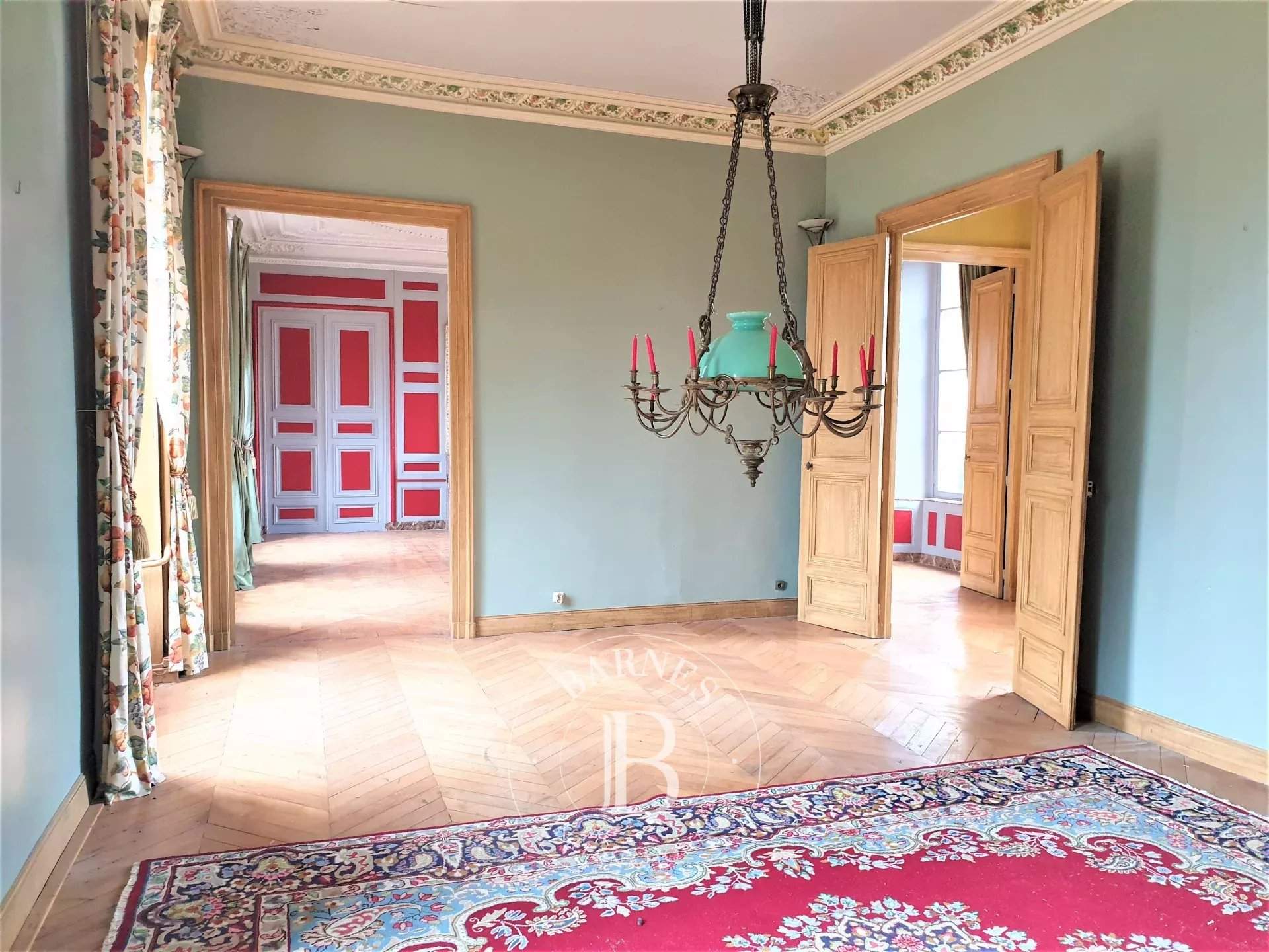 Salbris  - Château 30 Pièces 10 Chambres - picture 4